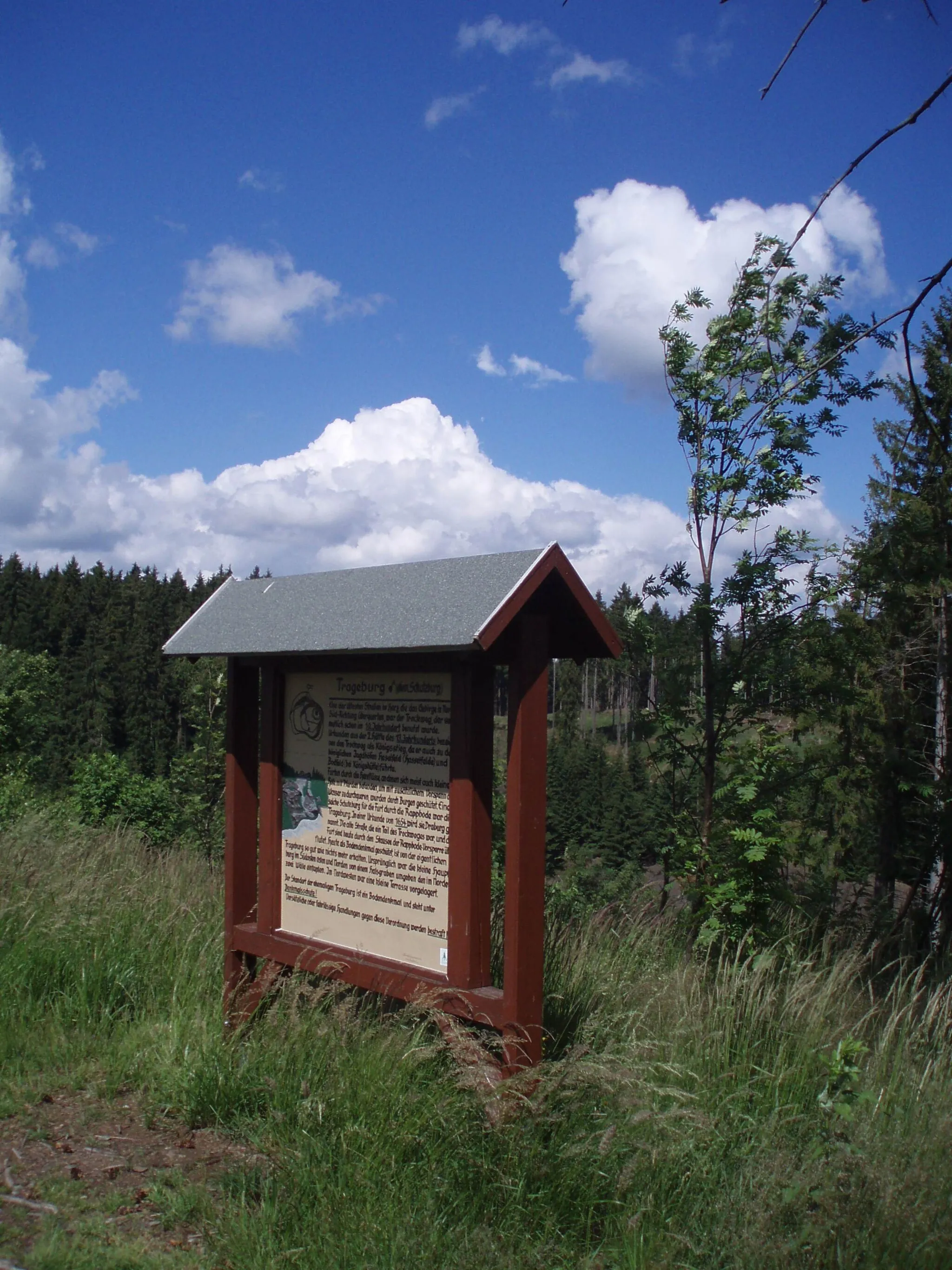 Photo showing: Auf der Trageburg