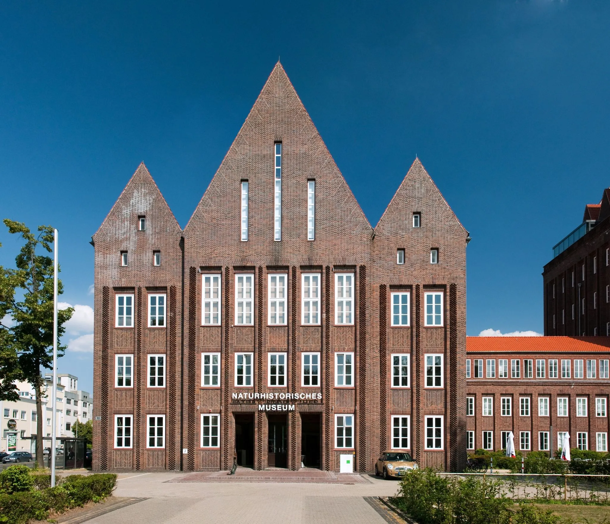 Photo showing: Braunschweig: Staatliches Naturhistorisches Museum