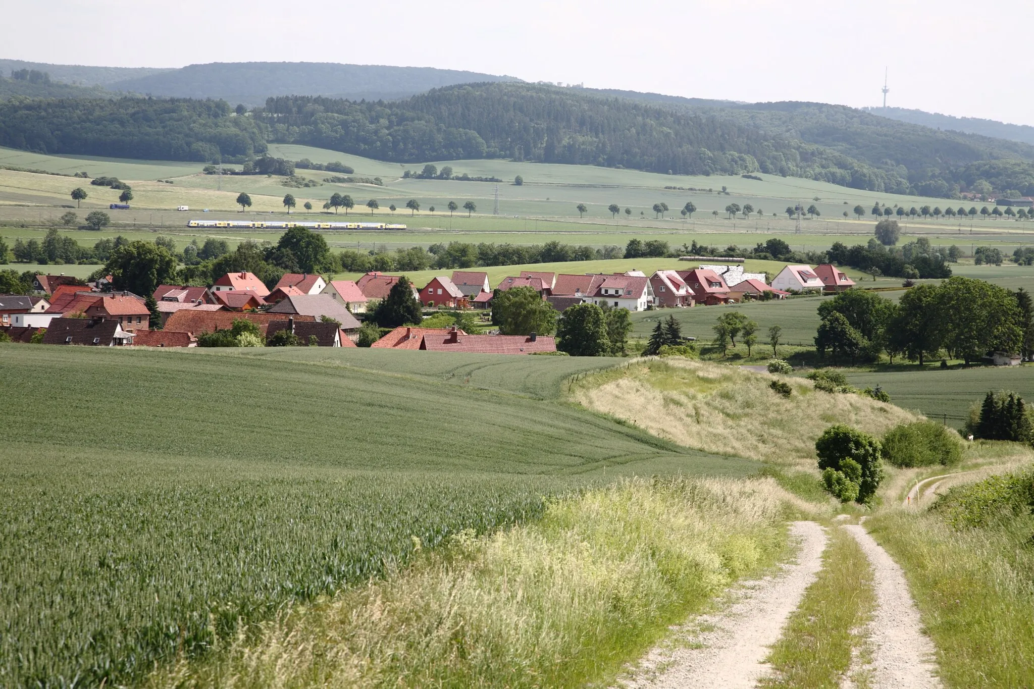 Photo showing: Blick vom Feldweg am Mühlenberg nach Südsüdost auf Elvese (ein Ortsteil des Fleckens Nörten-Hardenberg). Im Hintergrund das Leinetal und der Nörtener Wald (überwiegend im Landschaftsschutzgebiet „Westerhöfer Bergland-Langfast“), rechts der Fernmeldeturm Göttingen (155 Meter hoher Turm am Steinberg).