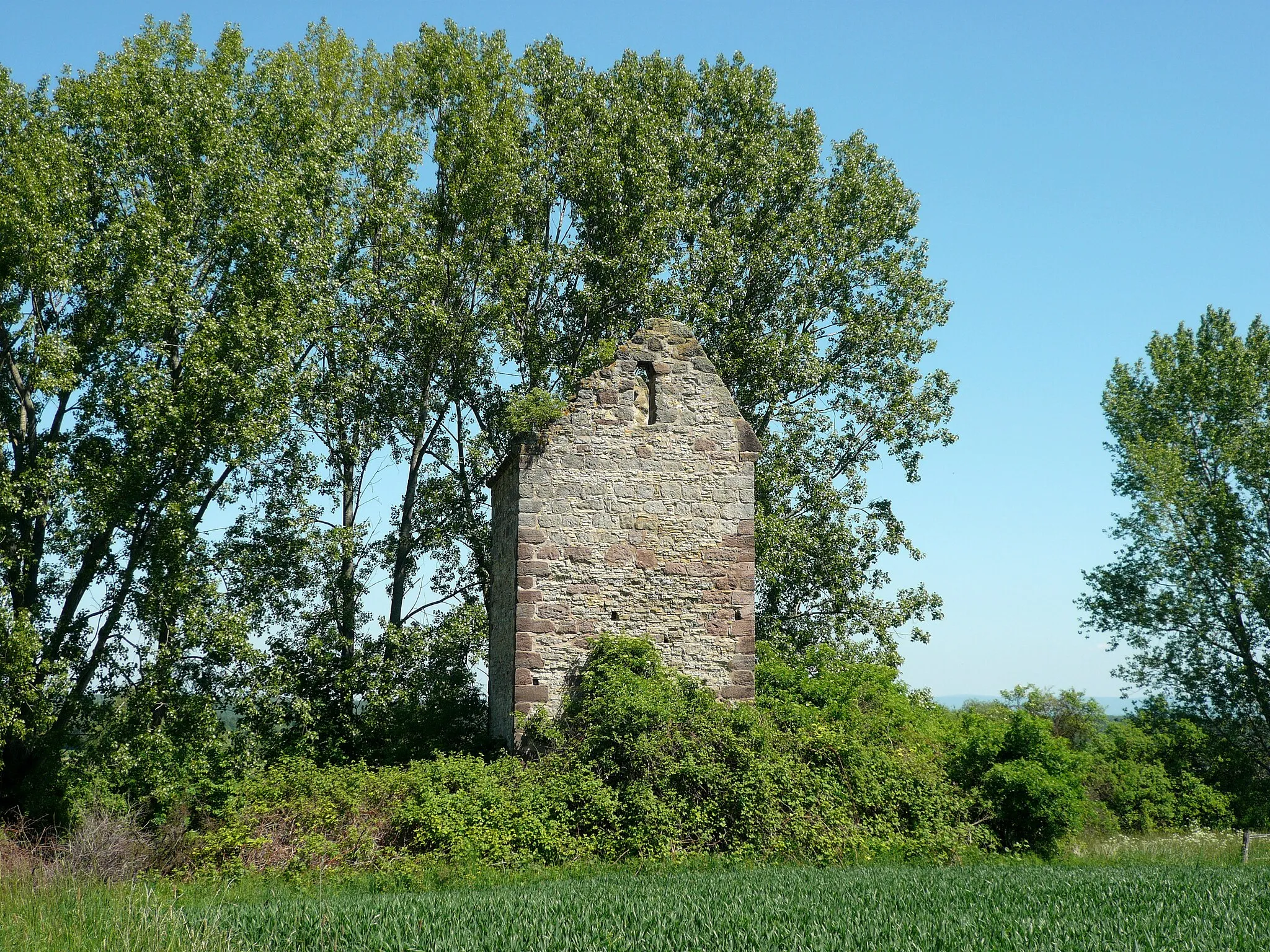 Photo showing: Maeuseturm, remains of a medieval church, near the village of Holzerode / Goettingen