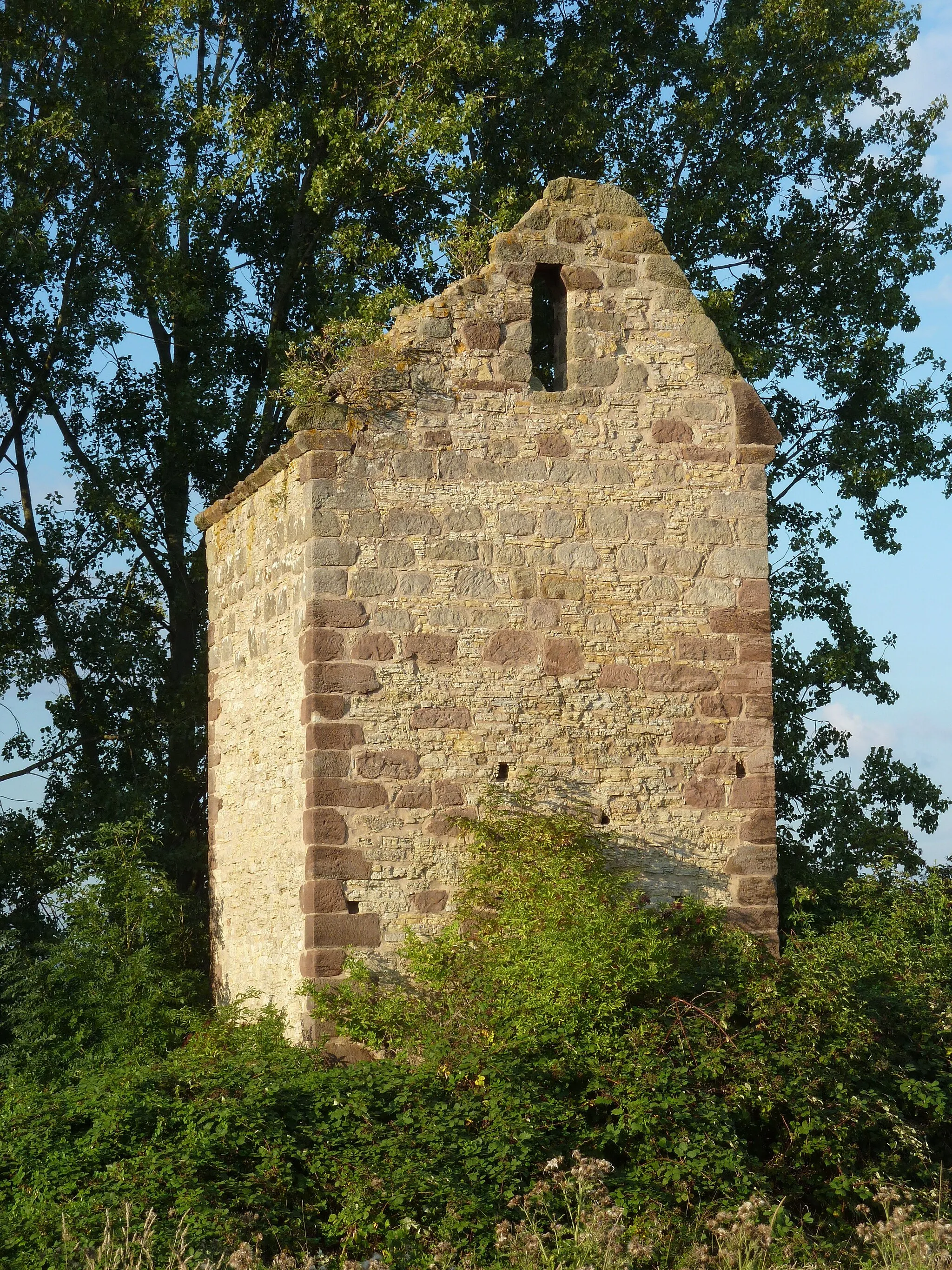 Photo showing: Ruine der Heilig-Kreuz-Kirche der Wüstung Moseborn bei Holzerode, Gemeinde Ebergötzen, Südniedersachsen.