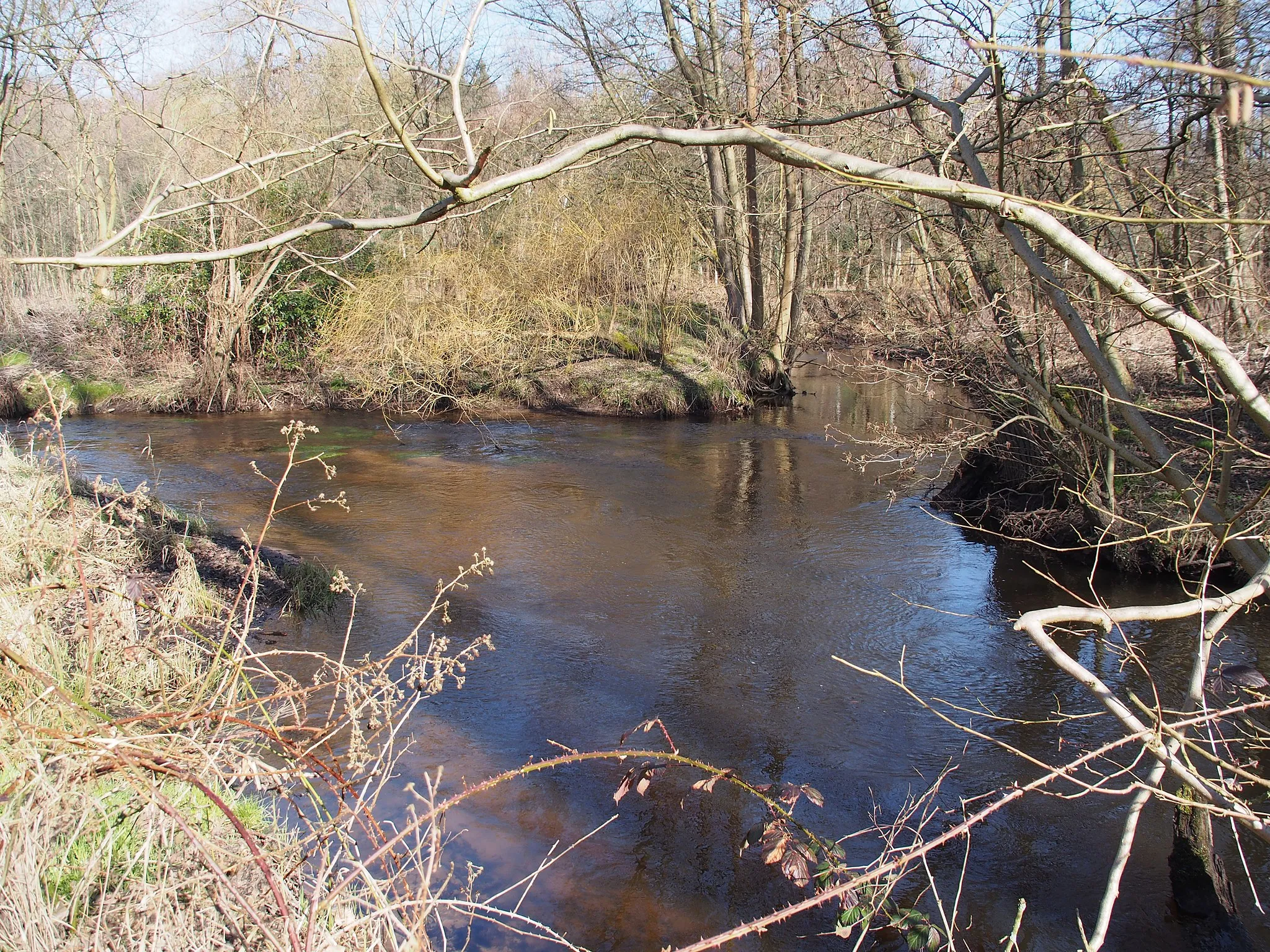 Photo showing: Zusammenfluss von Lachte (rechts) und Lutter, nördlich von Jarnsen, Gemeinde Lachendorf