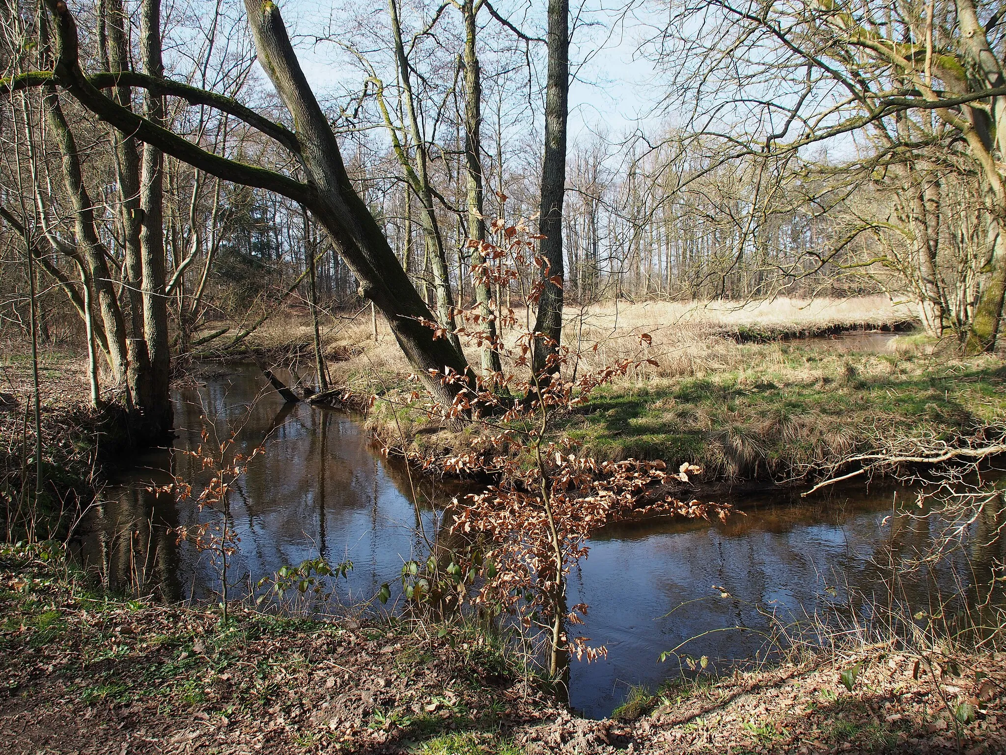 Photo showing: Lutter bei Jarnsen, Gemeinde Lachendorf (Jarnser Himmelreich)