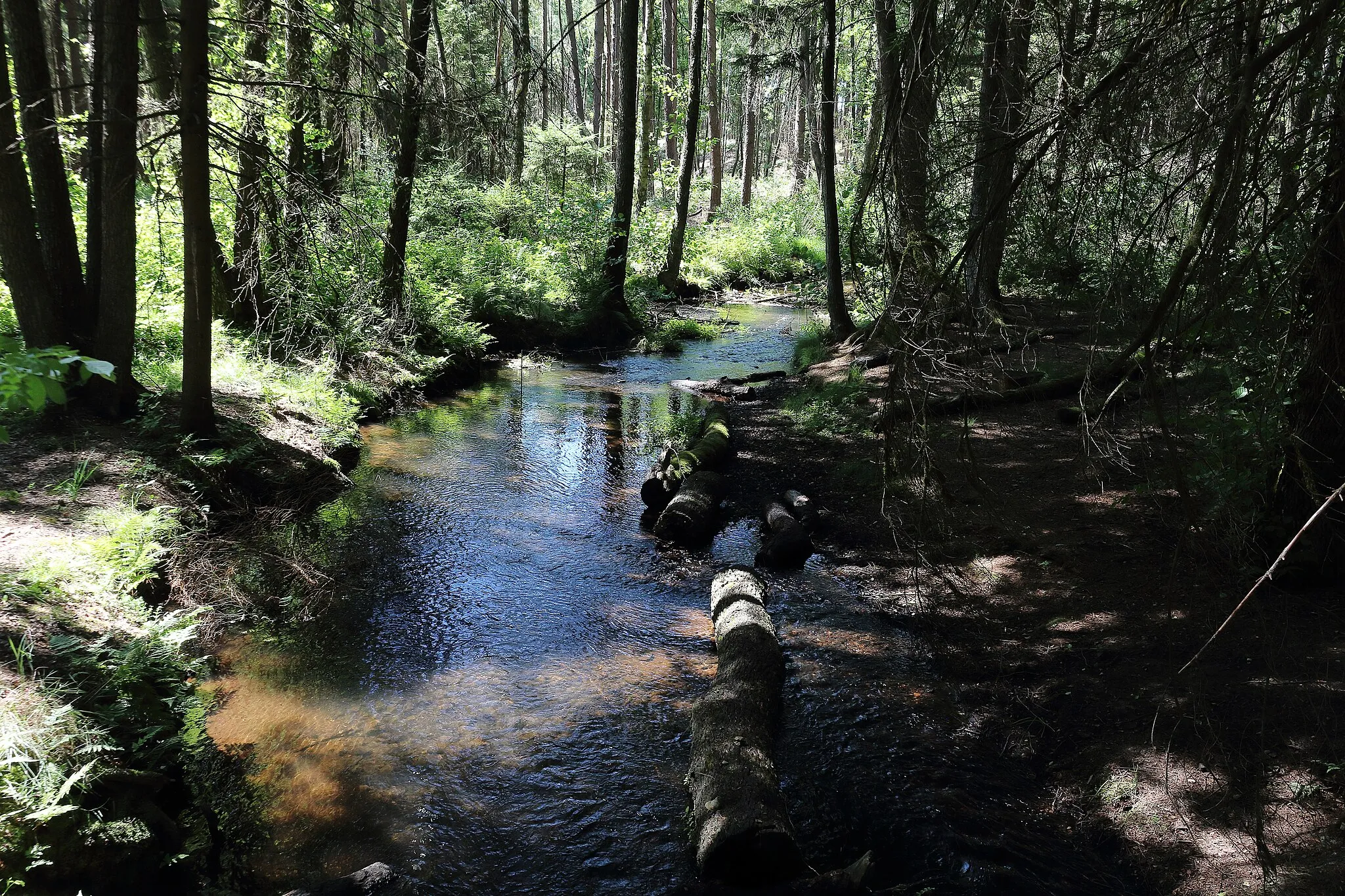 Photo showing: Schmalwasser, Nebenfluß der Lutter, zwischen Marwede (LK Celle) und Räderloh (LK Gifhorn). Hier Teil des Naturparks „NP NDS 00006 Südheide“,
des Naturschutzgebietes „NSG LÜ 00277 Lutter“,
des geschützten Landschaftsbestandteils „GLB CE 00012 Heidebäche“
des FFH Gebietes „3127-331 Lutter, Lachte, Aschau (mit einigen Nebenbächen)“, sowie
des EU-Vogelschutzgebietes „DE3227-401 Südheide und Aschauteiche bei Eschede“