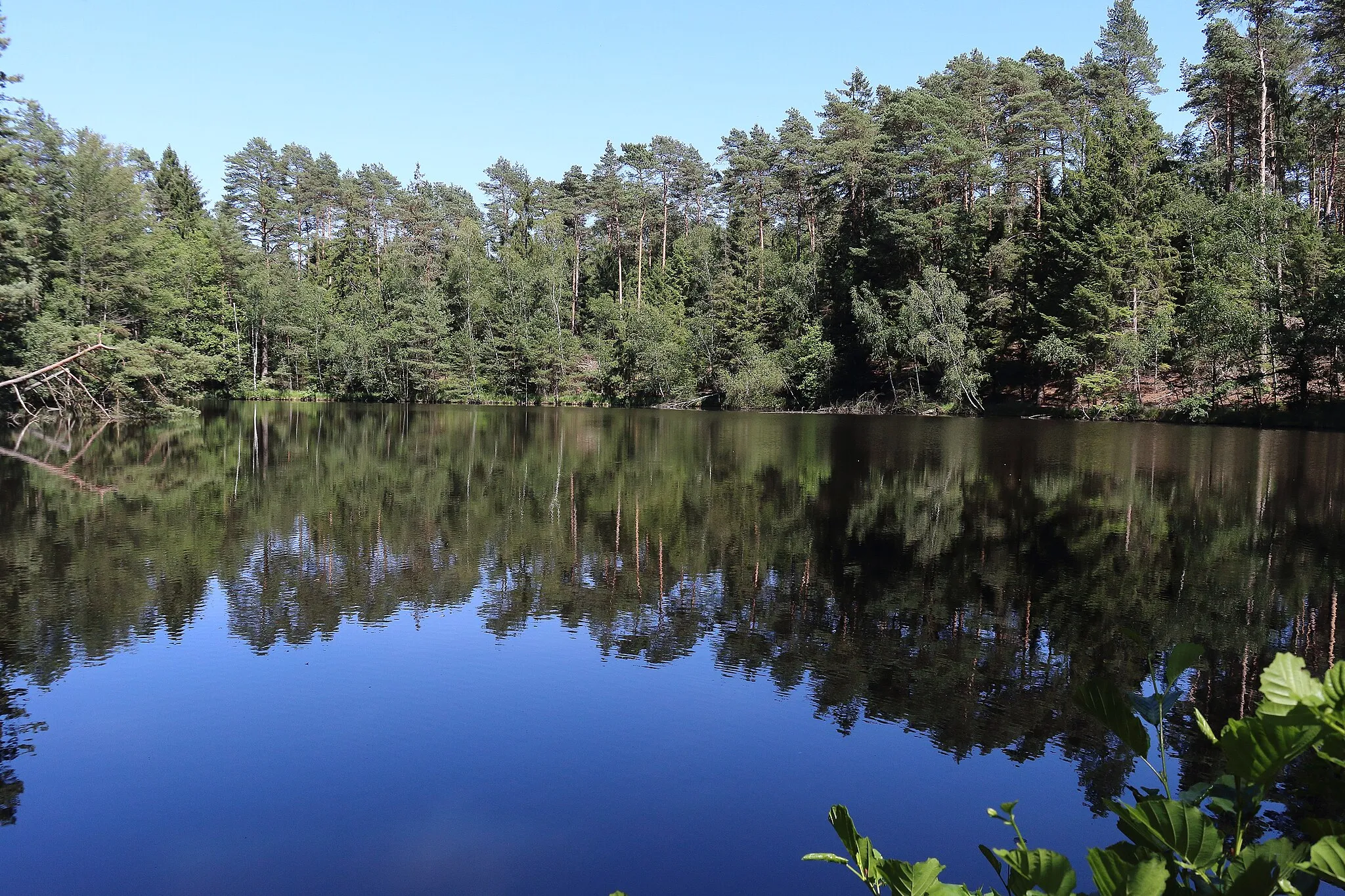 Photo showing: Räderbach, Nebenfluß des Schmalwasser, zwischen Marwede (LK Celle) und Räderloh (LK Gifhorn). Hier Teil des Naturschutzgebietes „NSG LÜ 00277 Lutter“,
des FFH Gebietes „3127-331 Lutter, Lachte, Aschau (mit einigen Nebenbächen)“, sowie
des EU-Vogelschutzgebietes „DE3227-401 Südheide und Aschauteiche bei Eschede“