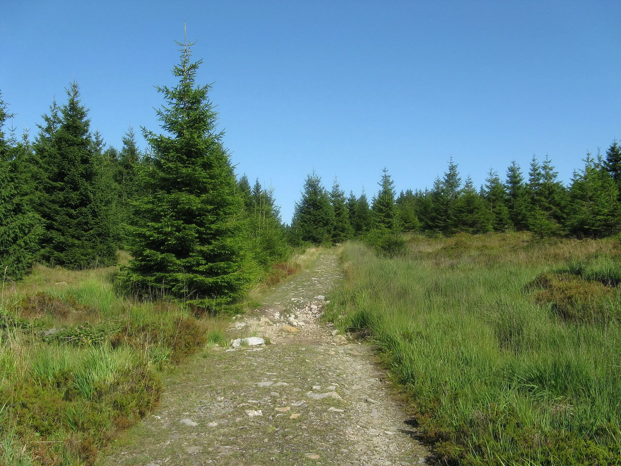 Photo showing: Reitstieg auf dem Acker