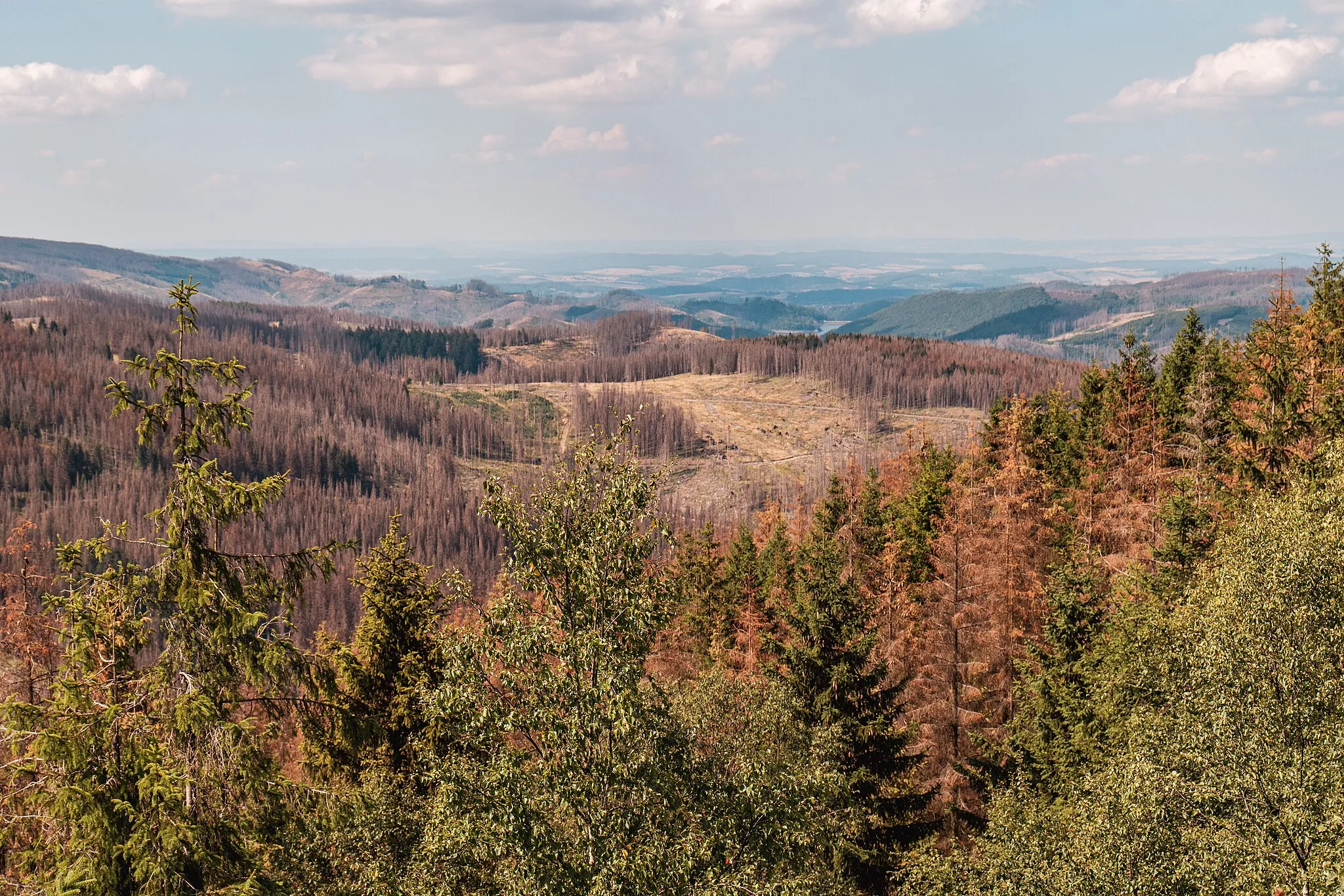 Photo showing: This is a picture of the protected area listed at WDPA under the ID