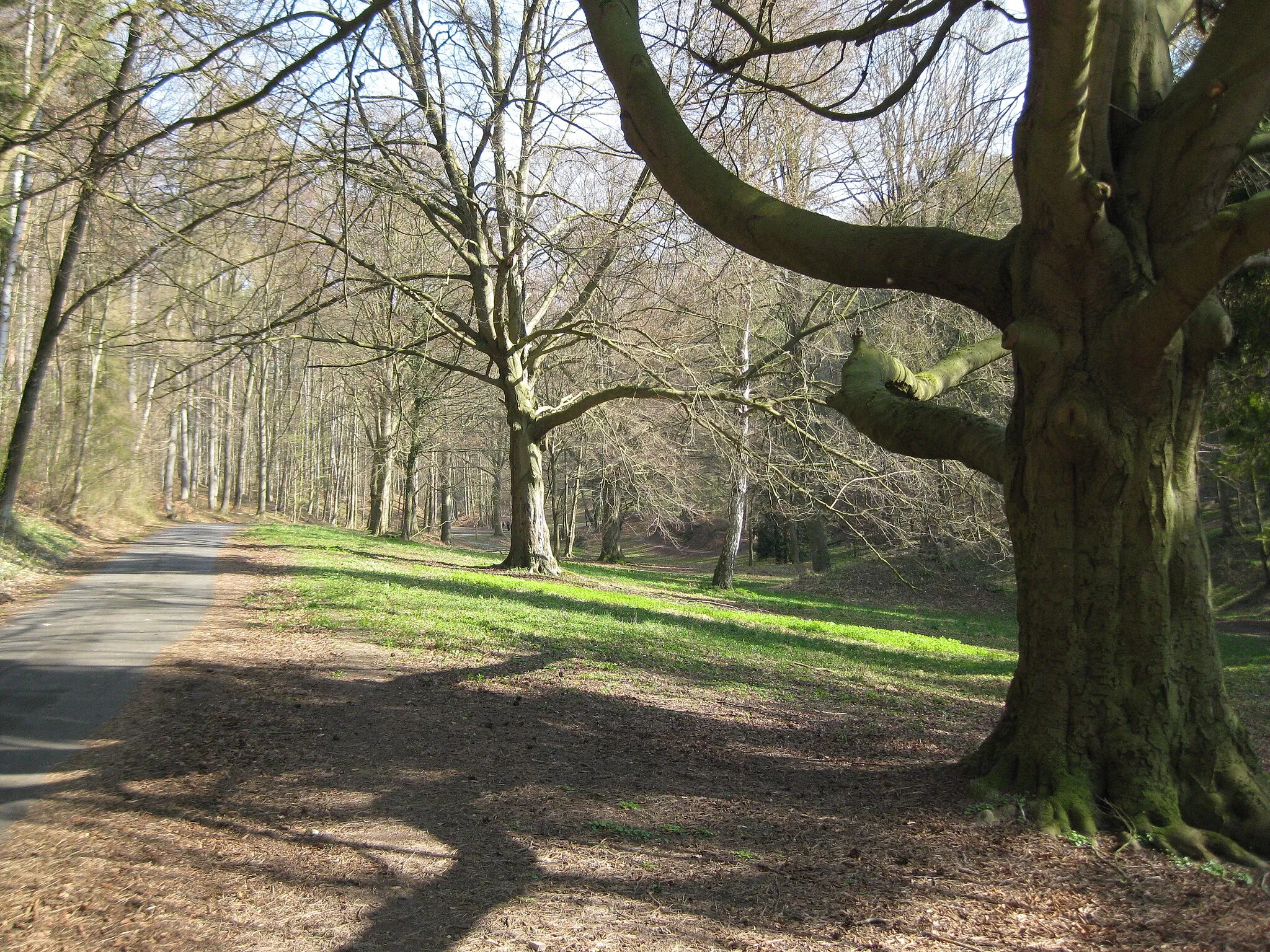 Photo showing: Der Molkengrund östlich von Göttingen gehört zum Landschaftsschutzgebiet Leinetal (LSG GÖ-S 00001). Er bildet den Übergang von der parkähnlich gestalteten Schillerwiese zum Göttinger Wald.