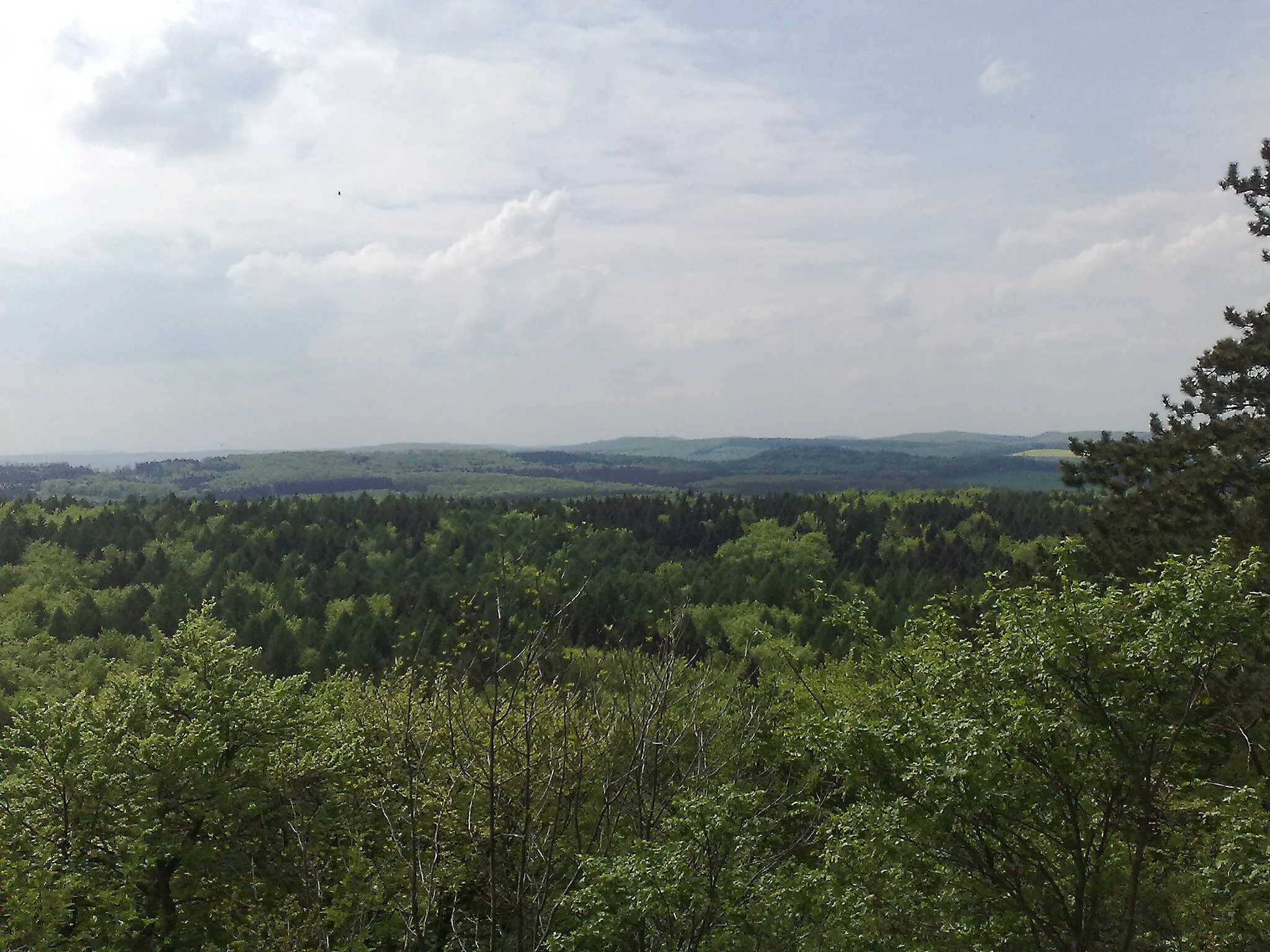 Photo showing: View from the mountain Nördlicher Jägerturmskopf to the west; Heere, Lower Saxony, Germany.