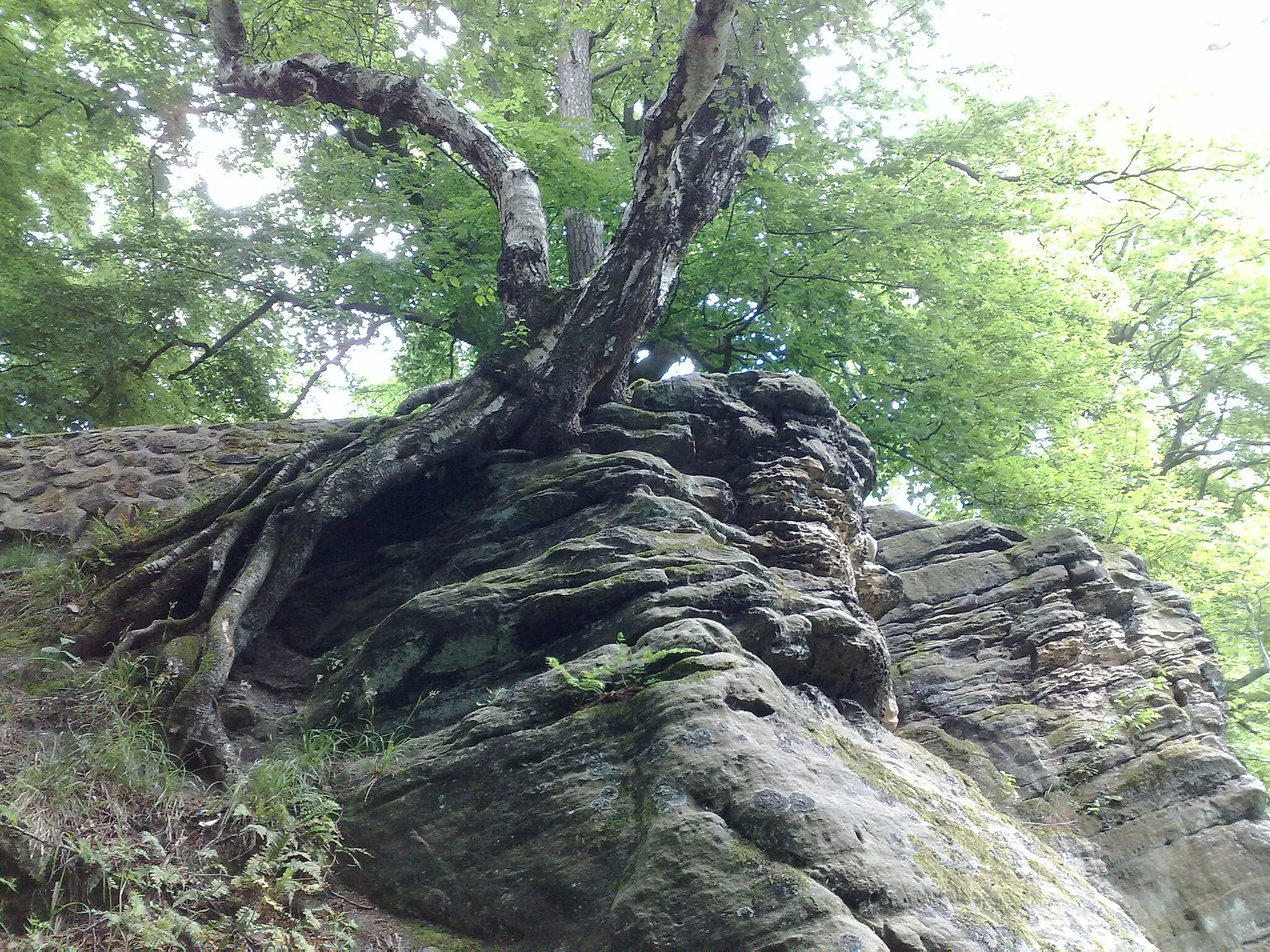 Photo showing: Rock formation at the Jägerhaus, above the Hubertusgrotto at Hainberg, part of a protected landscape area, administrative district of Wolfenbüttel, Lower Saxony, Germany.