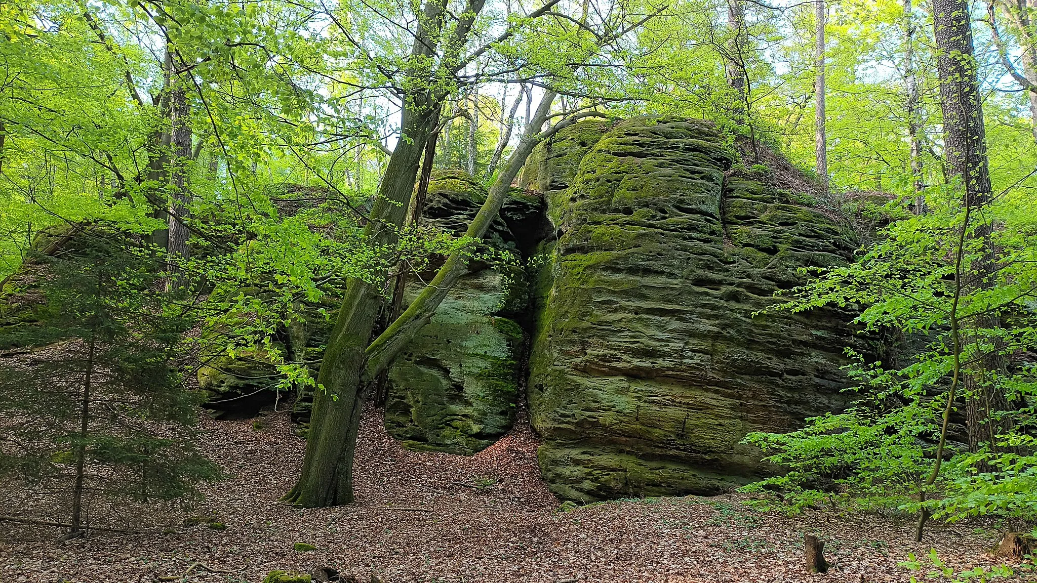 Photo showing: LSG 'Bodensteiner Klippen und Klein Rüdener Holz'