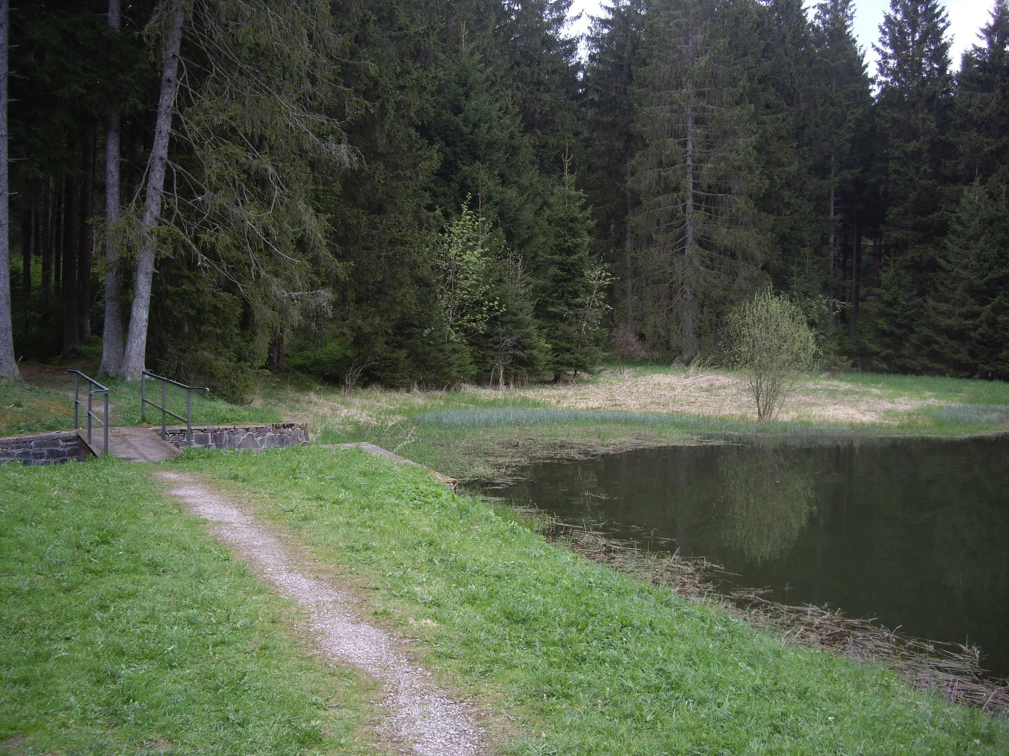 Photo showing: Unterer Flambacher Teich bei Buntenbock im Harz. Ausfluss am westlichen Ende des Staudamms, rechts dahinter ein flacher Bereich des Sees.