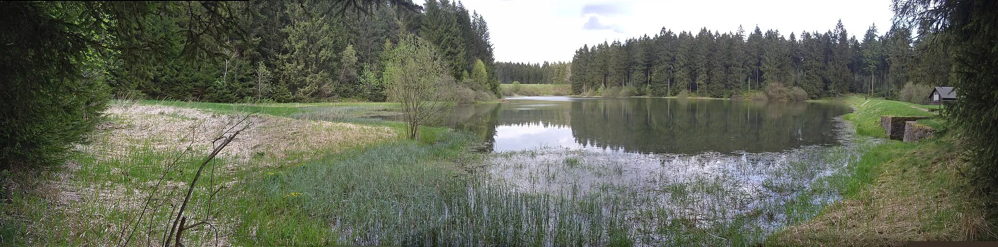 Photo showing: Unterer Flambacher Teich bei Buntenbock im Harz, Blick vom Staudamm der Westseite.