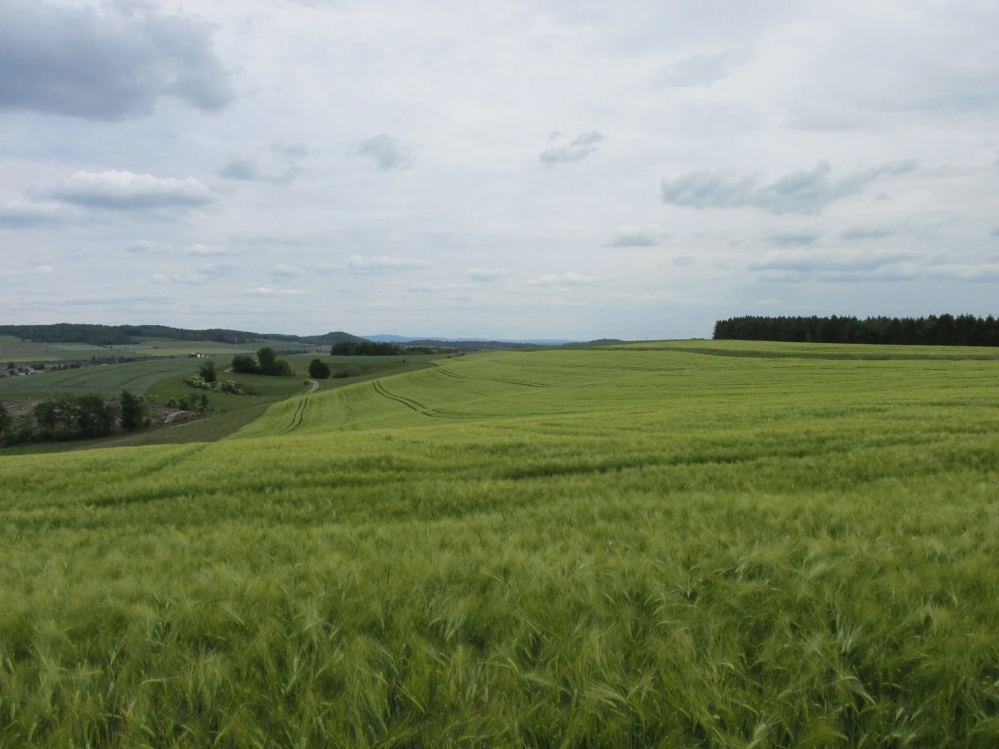 Photo showing: Blick vom Feldweg südlich von Bartolfelde nach Osten auf den Jacobsberg