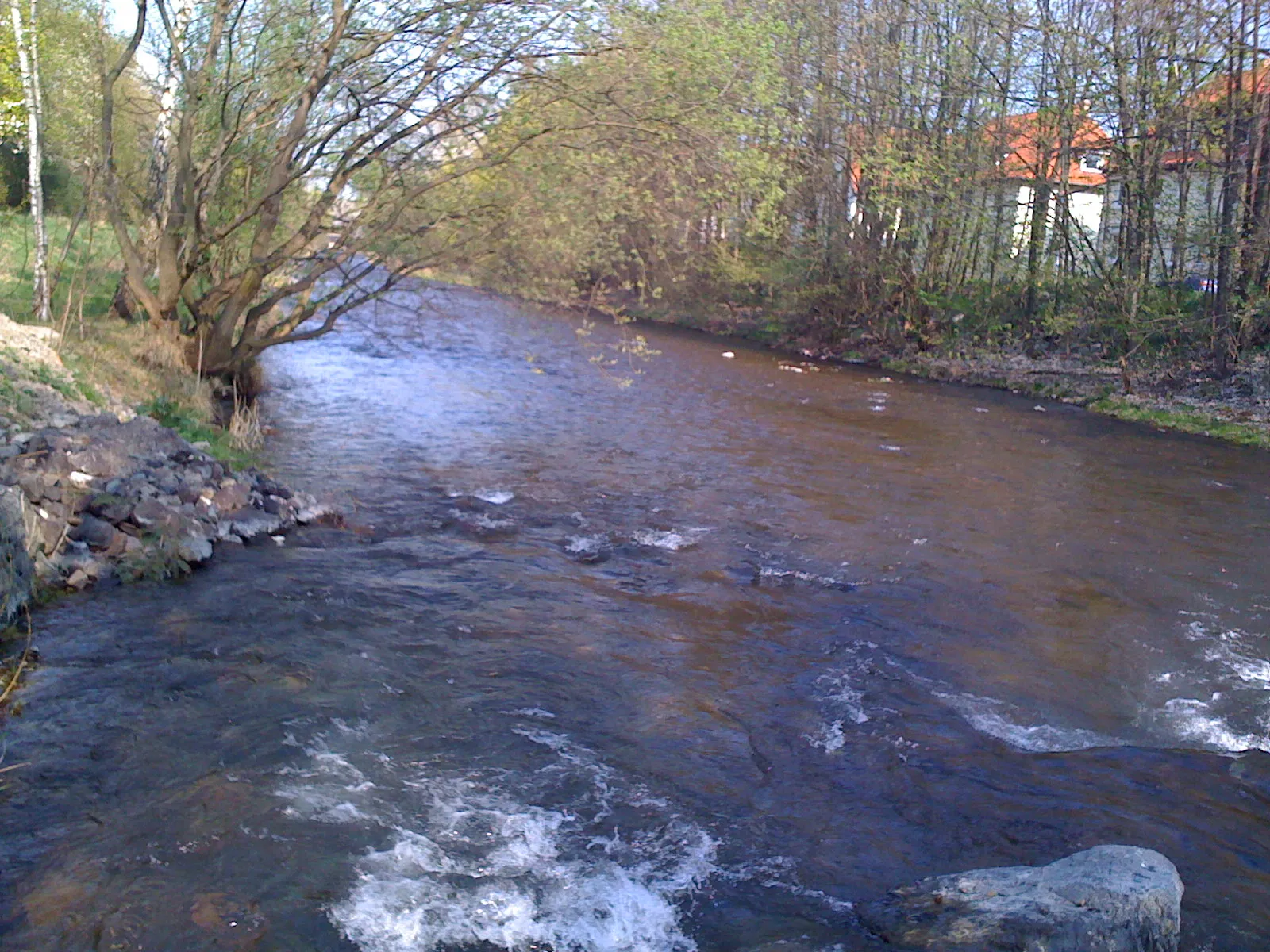 Photo showing: Part of the Innerste-River in Langelsheim