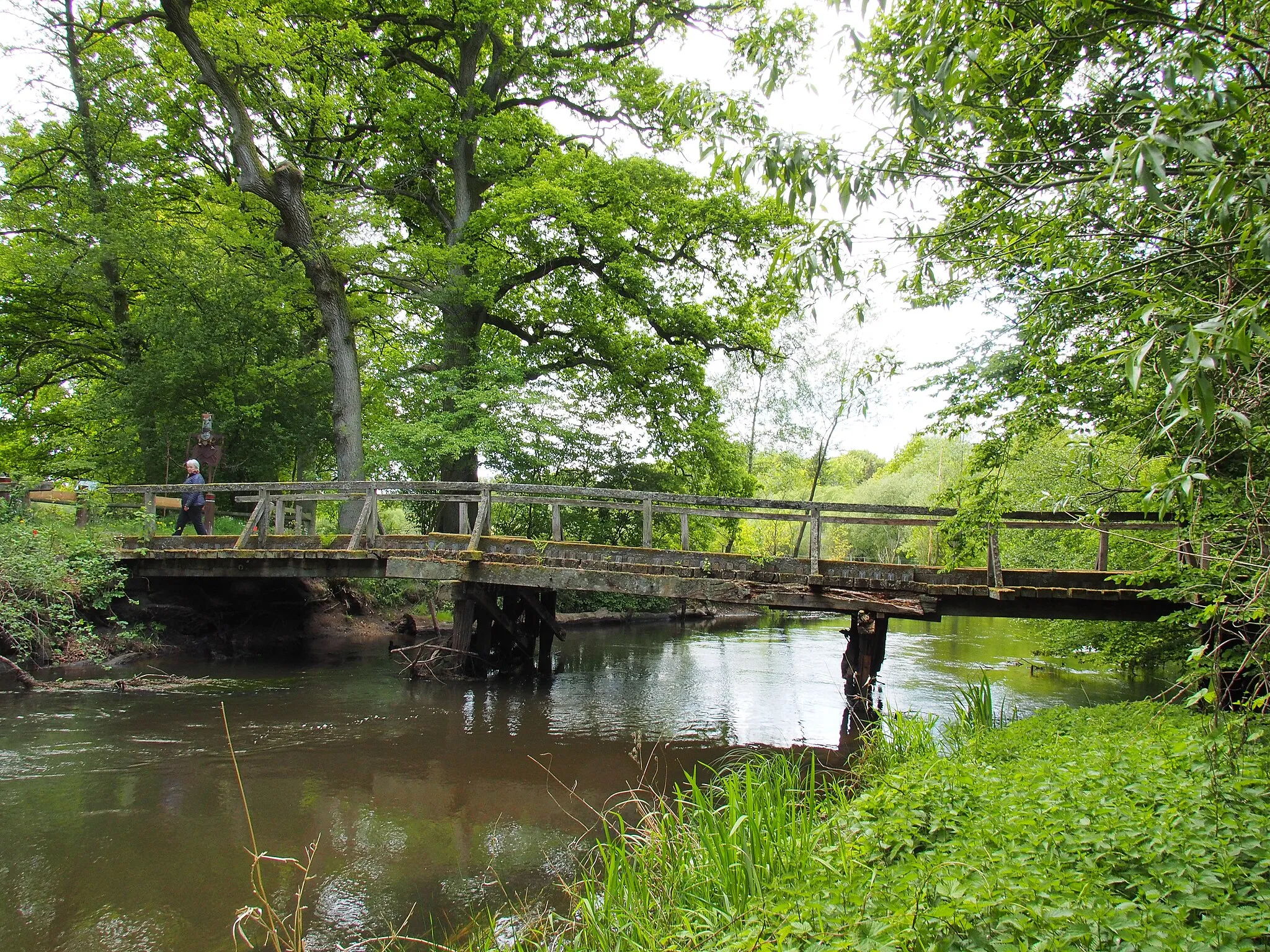 Photo showing: Holzbrücke über die Örtze bei Feuerschützenbostel (Stadt Bergen)