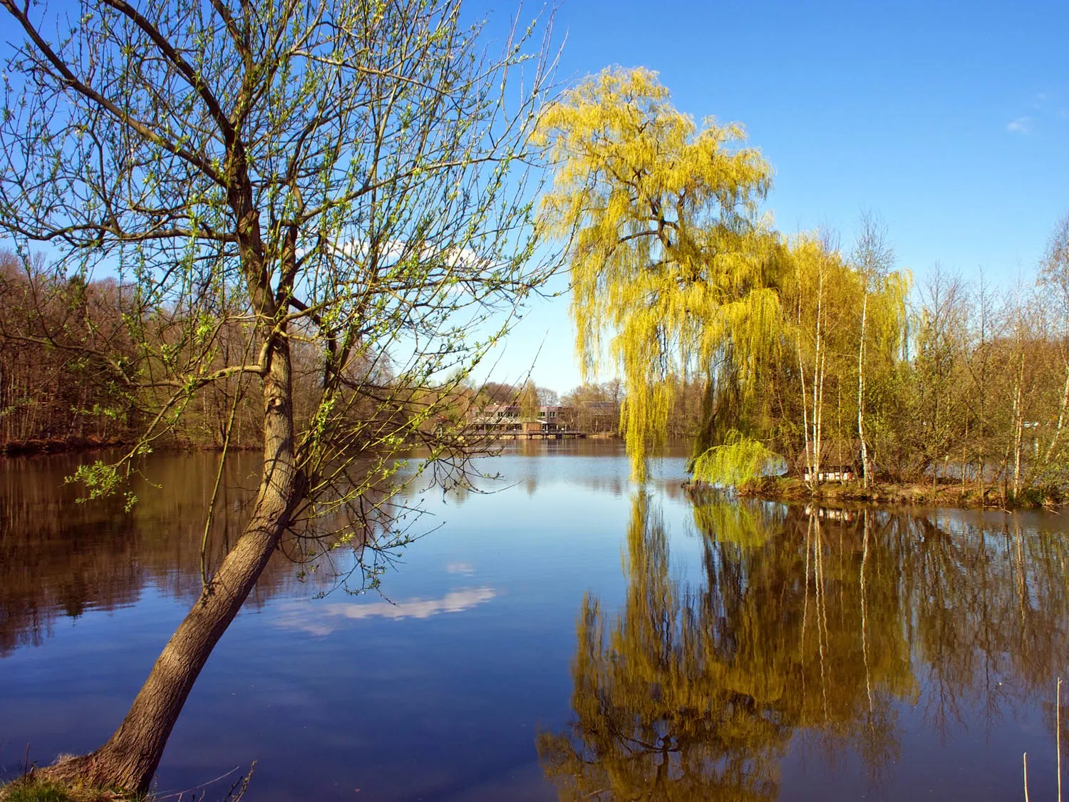 Photo showing: Isenhagener See in 29386 Hankensbüttel, Germany, view from the south bank