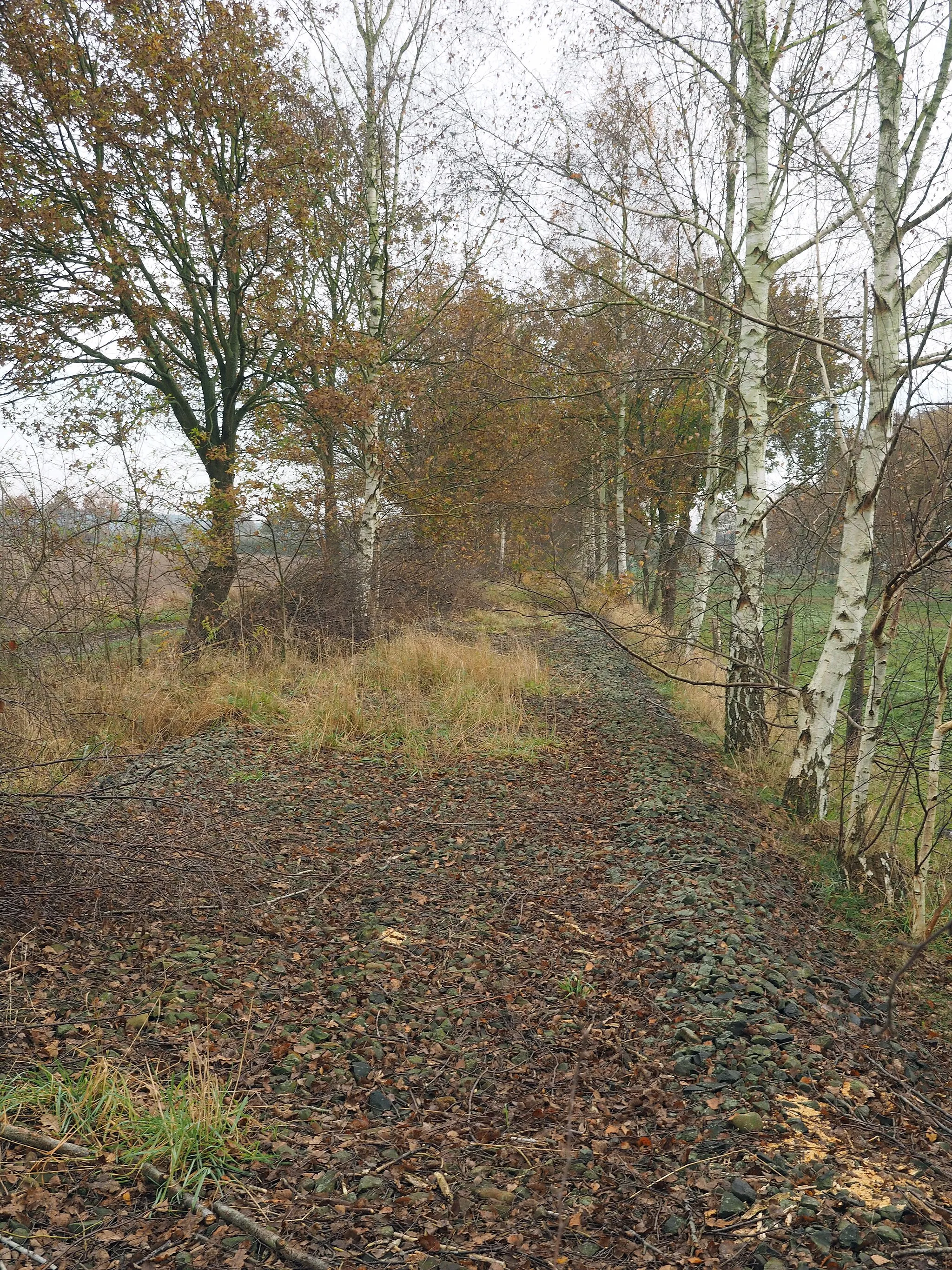 Photo showing: Stillgelegter östlicher Abschnitt der Bahntrasse der Allertalbahn in der Nähe von Bockelskamp