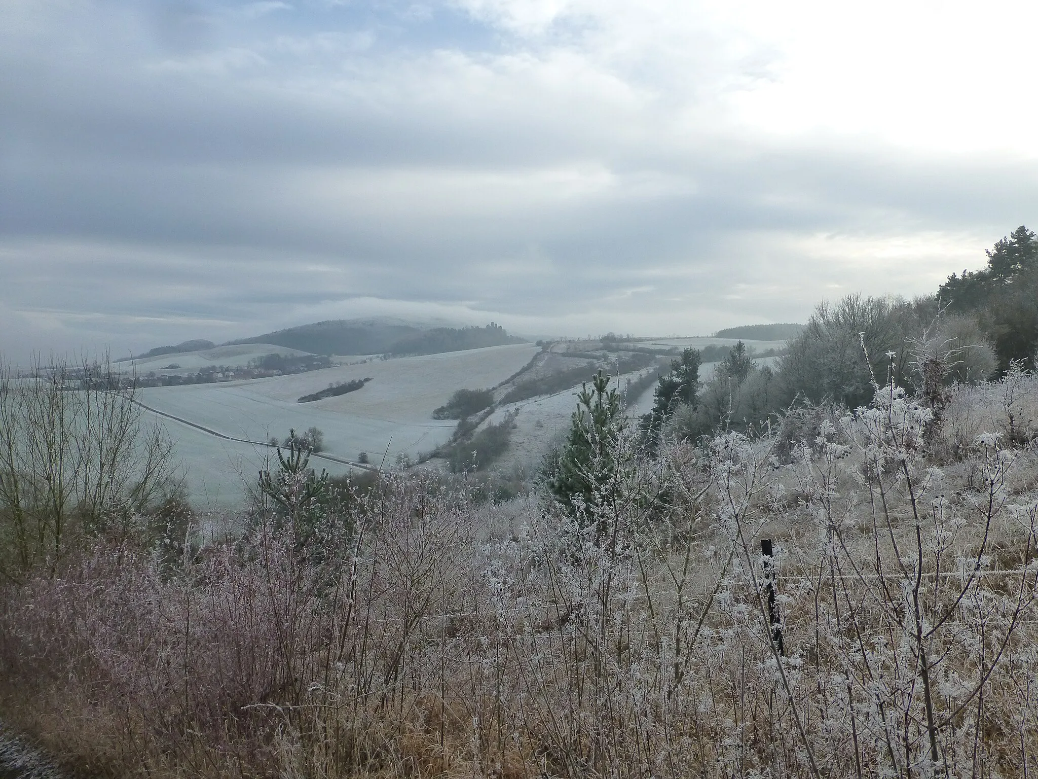 Photo showing: Blick vom Stürzlieder Berg in Richtung Bornhagen