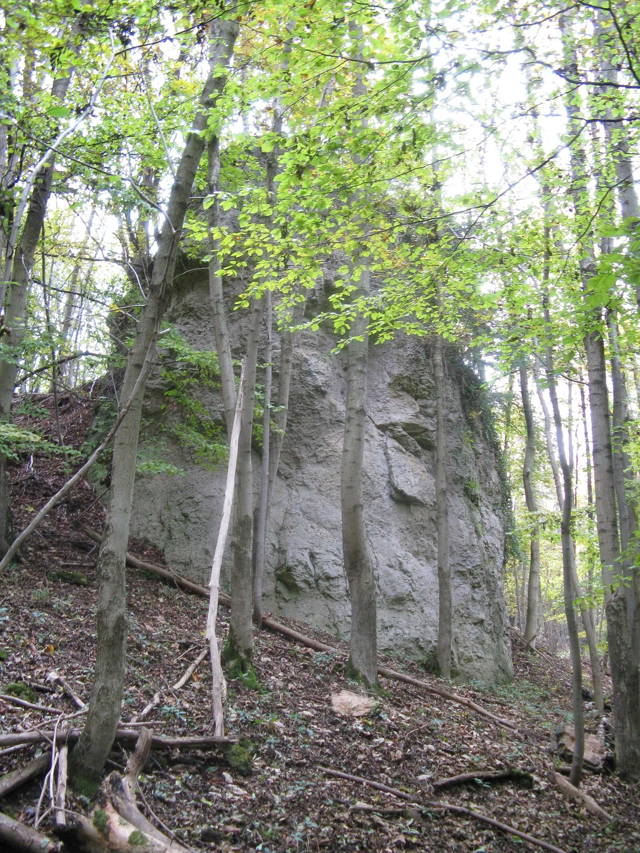 Photo showing: Dolomitfelsen am Knickelberg bei Herzberg am Harz