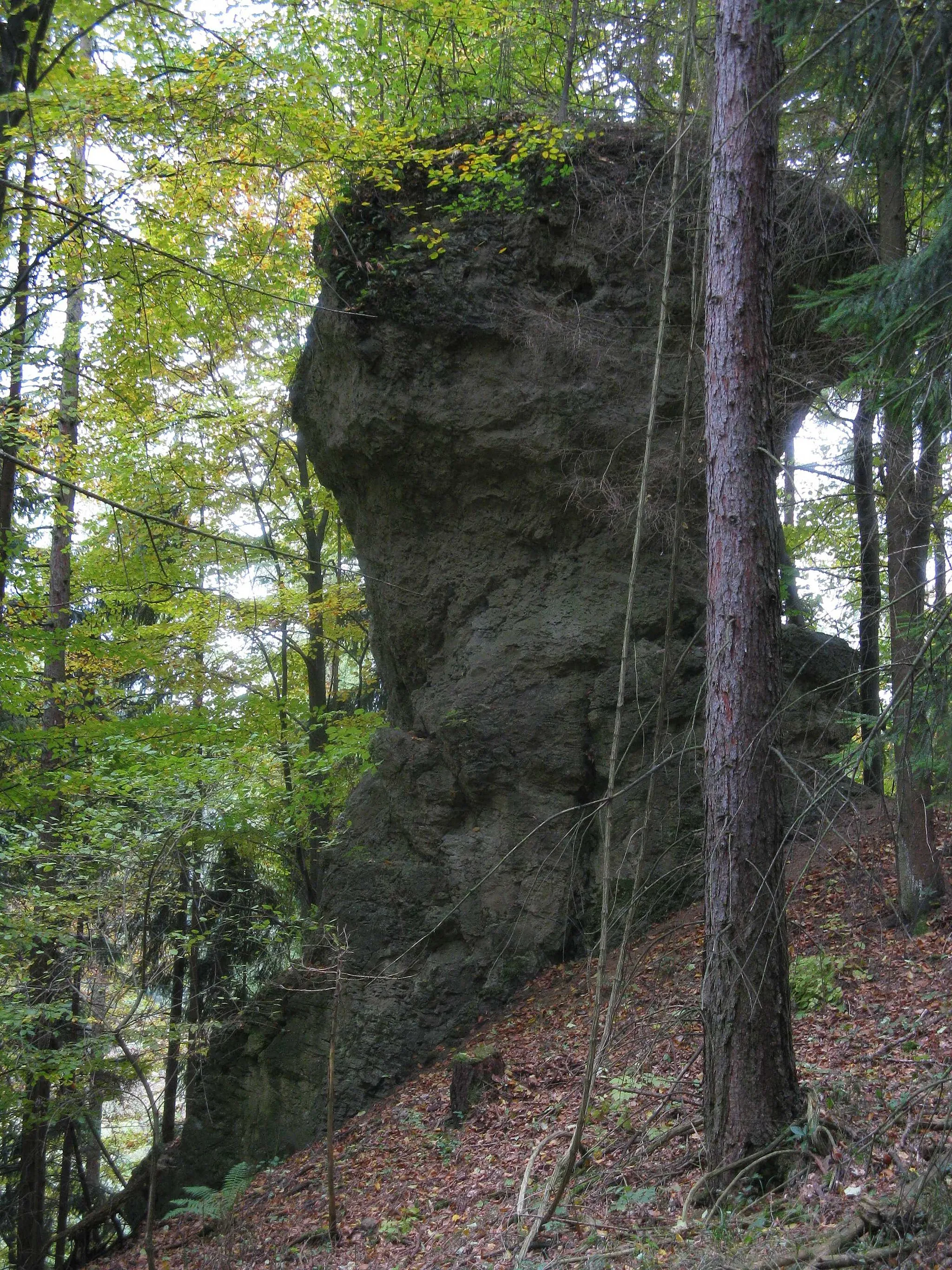 Photo showing: Dolomitfelsen am Knickelberg bei Herzberg am Harz