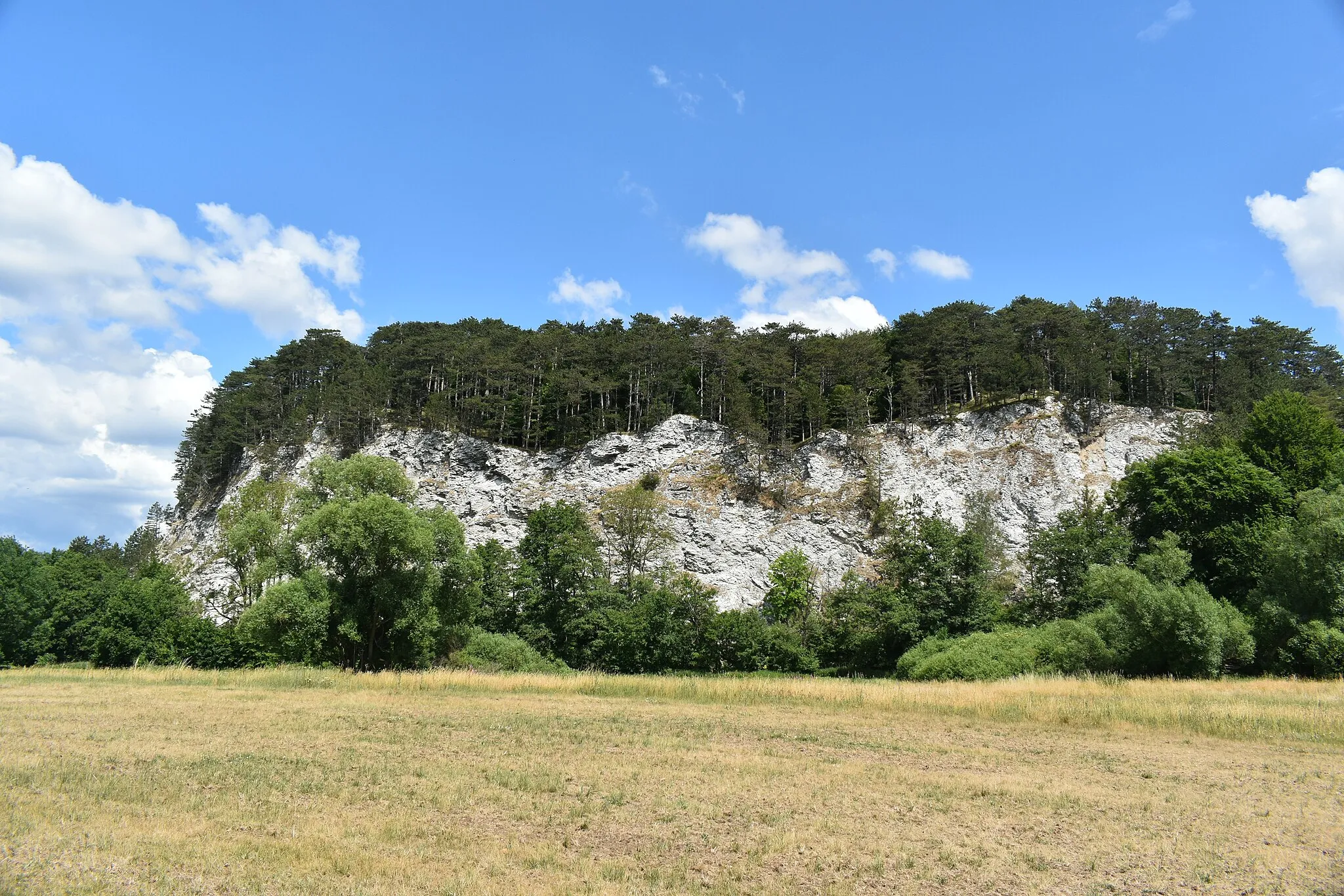 Photo showing: Sachsenstein bei Neuhof (Bad Sachsa).