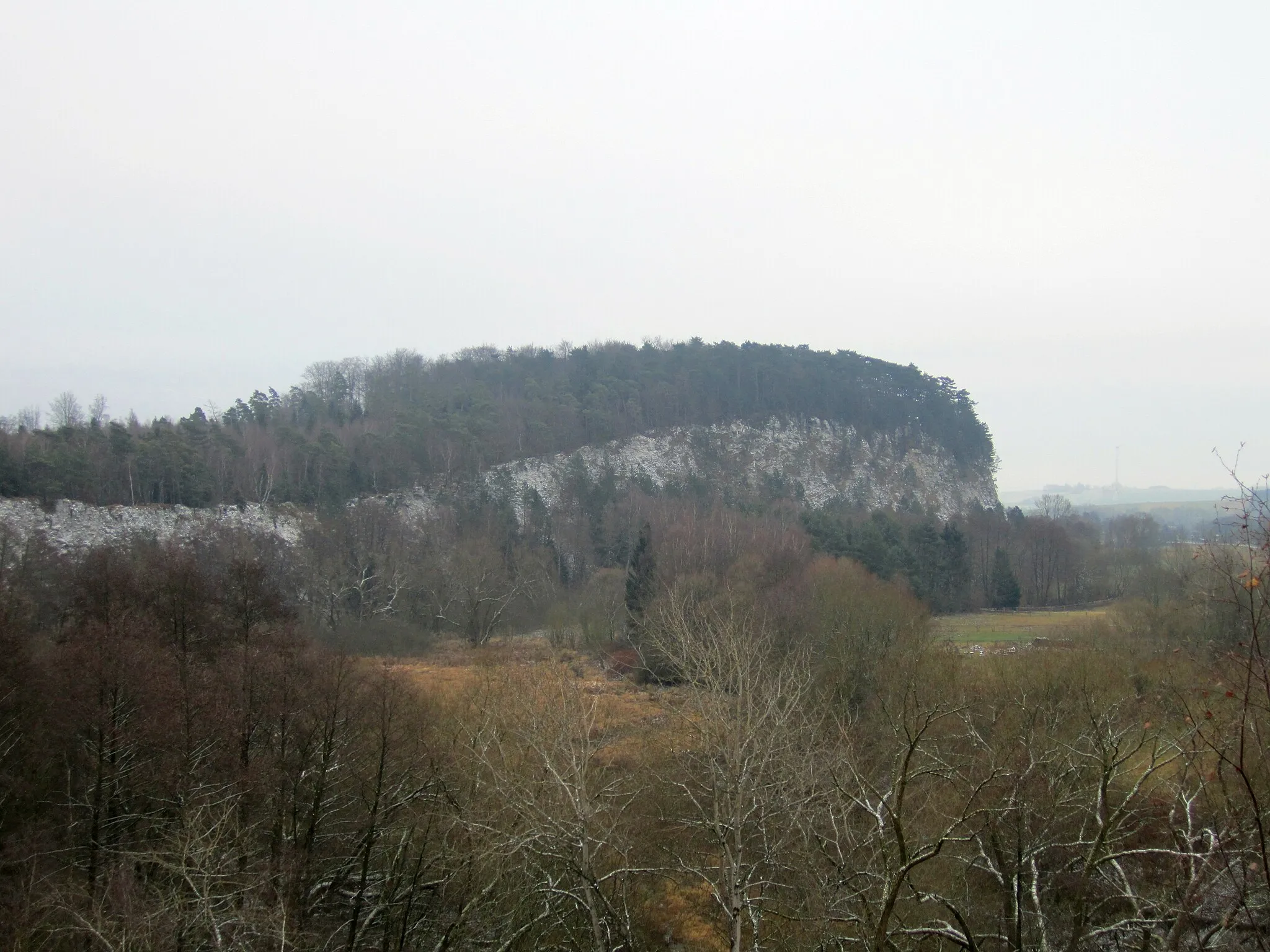 Photo showing: Sachsensteinwand near Neuhof. Bad Sachsa, Lower Saxony, Germany.