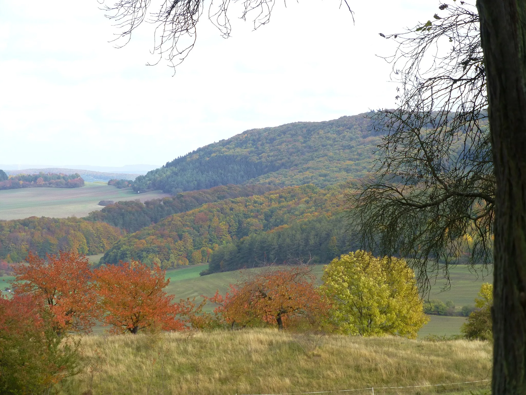 Photo showing: Blick von Westen von Bornhagen auf die Hennefeste