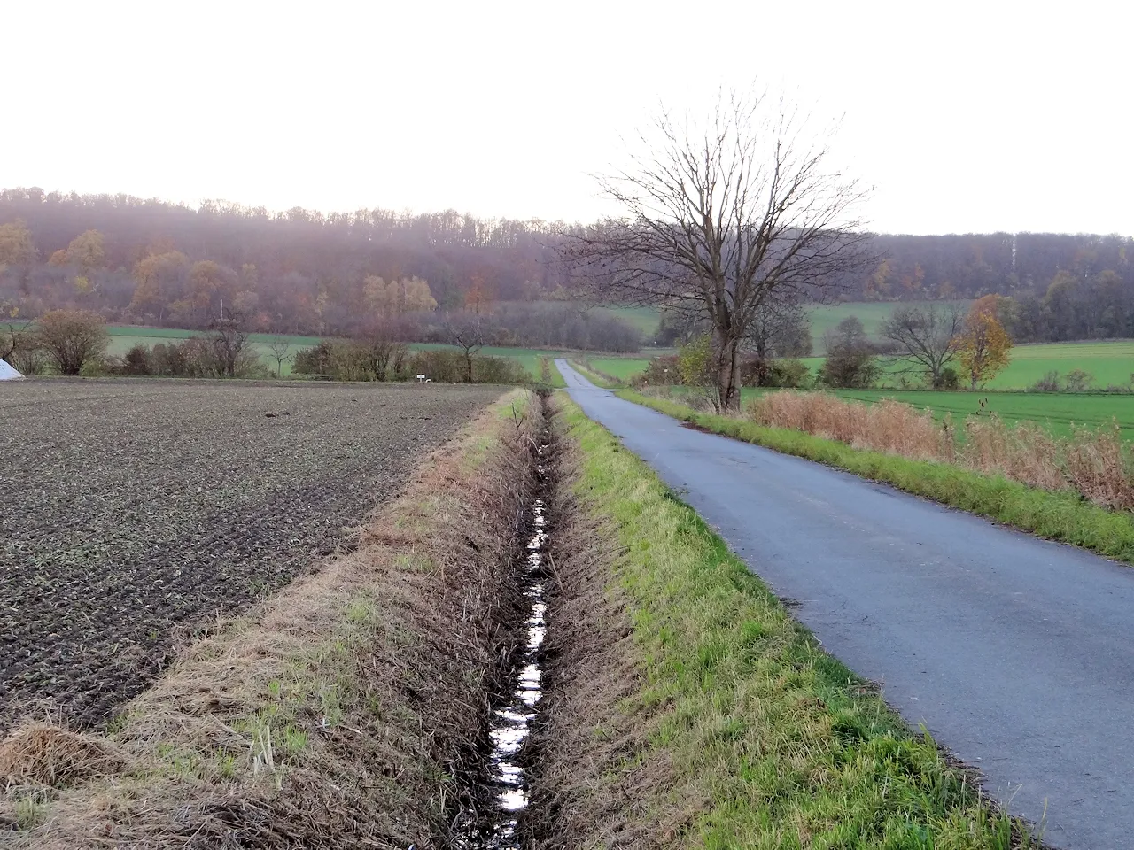 Photo showing: Bachlauf bei Lengde (Schladen) am Harly, der früher Teil des Ohebachs war und in diesen mündet.
