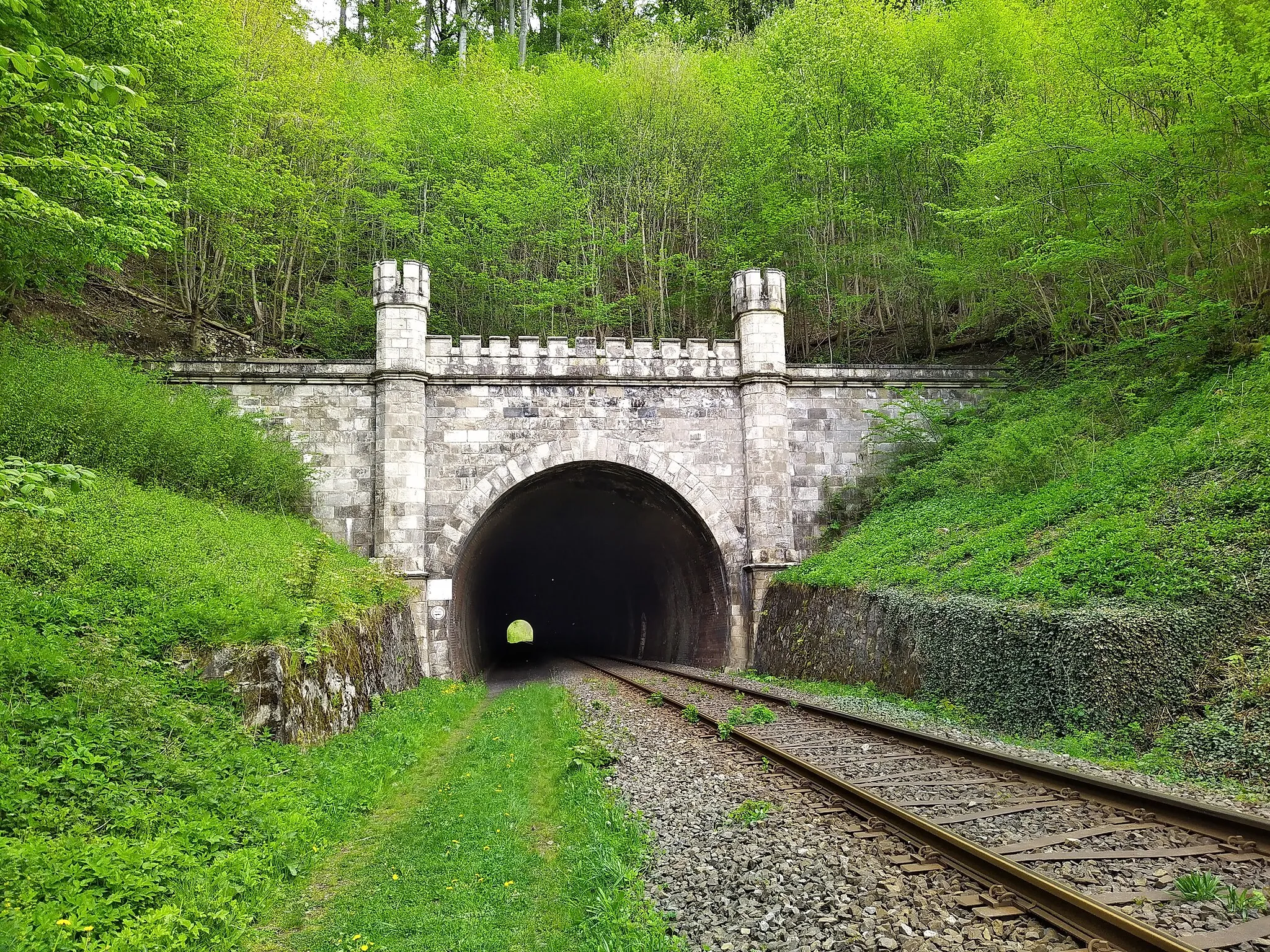 Photo showing: Tunnel Walkenried, Westportal