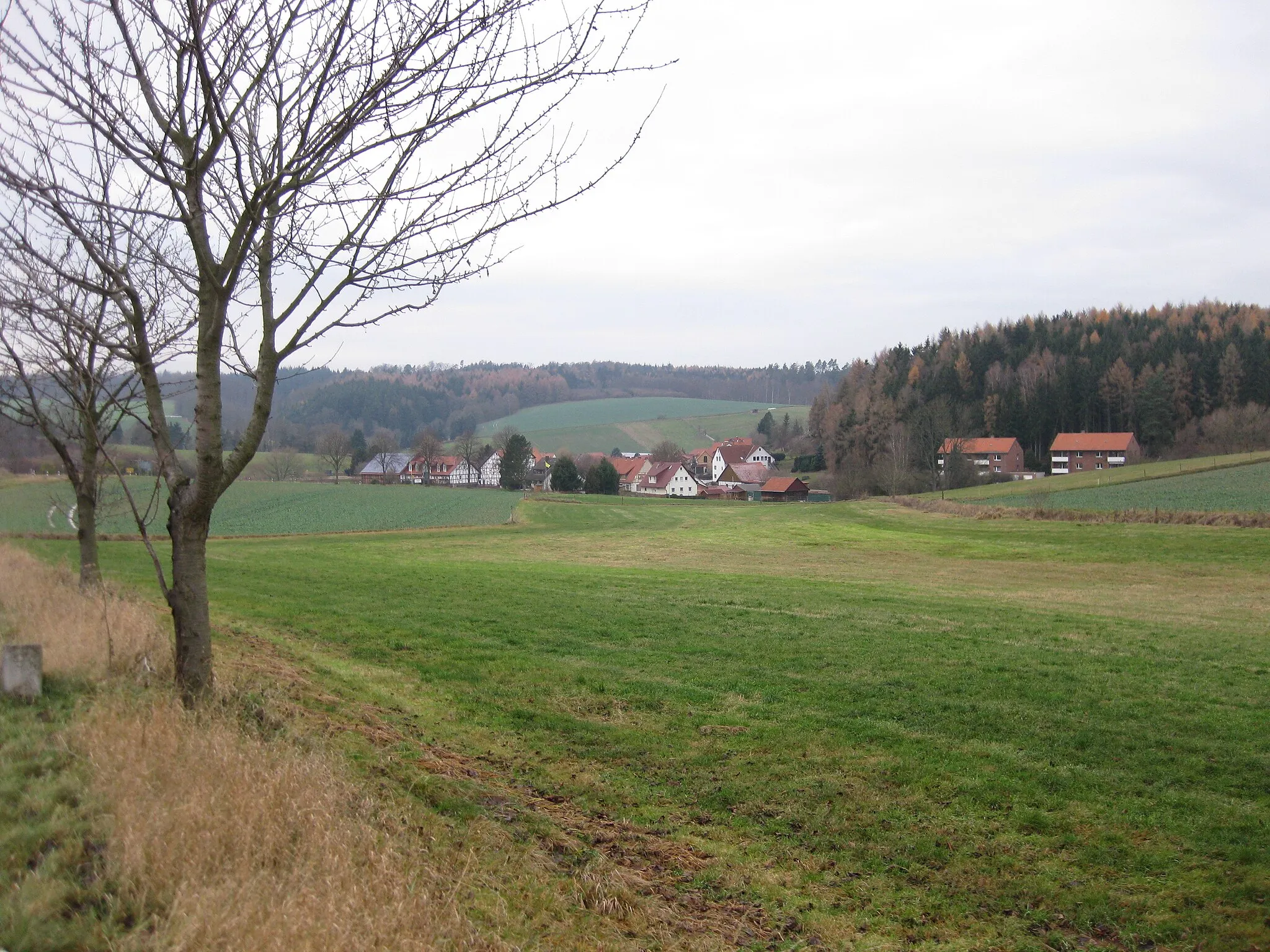 Photo showing: Teilansicht auf Bremke von Osten gesehen