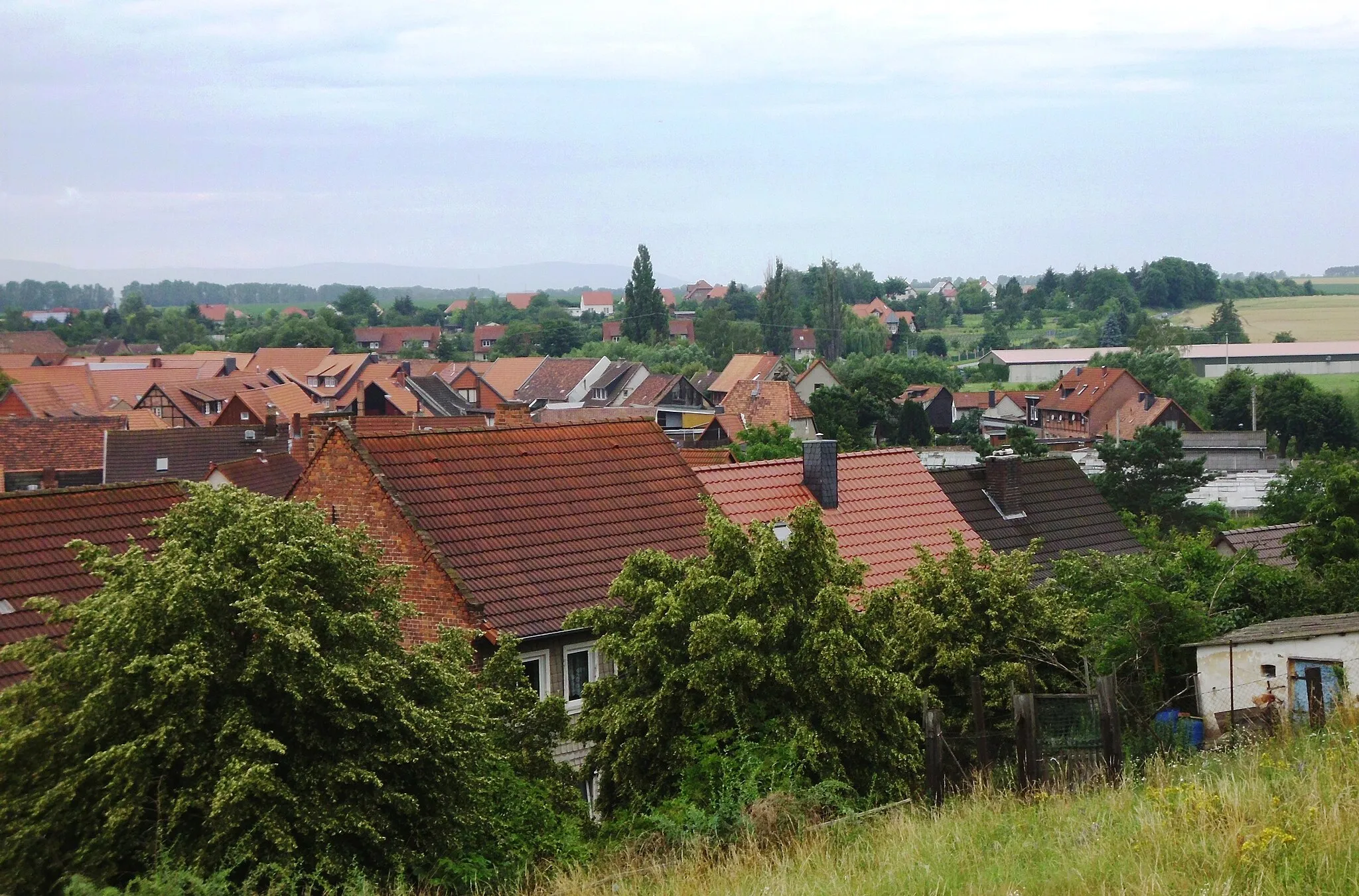 Photo showing: Blick vom Anisberg auf Derenburg