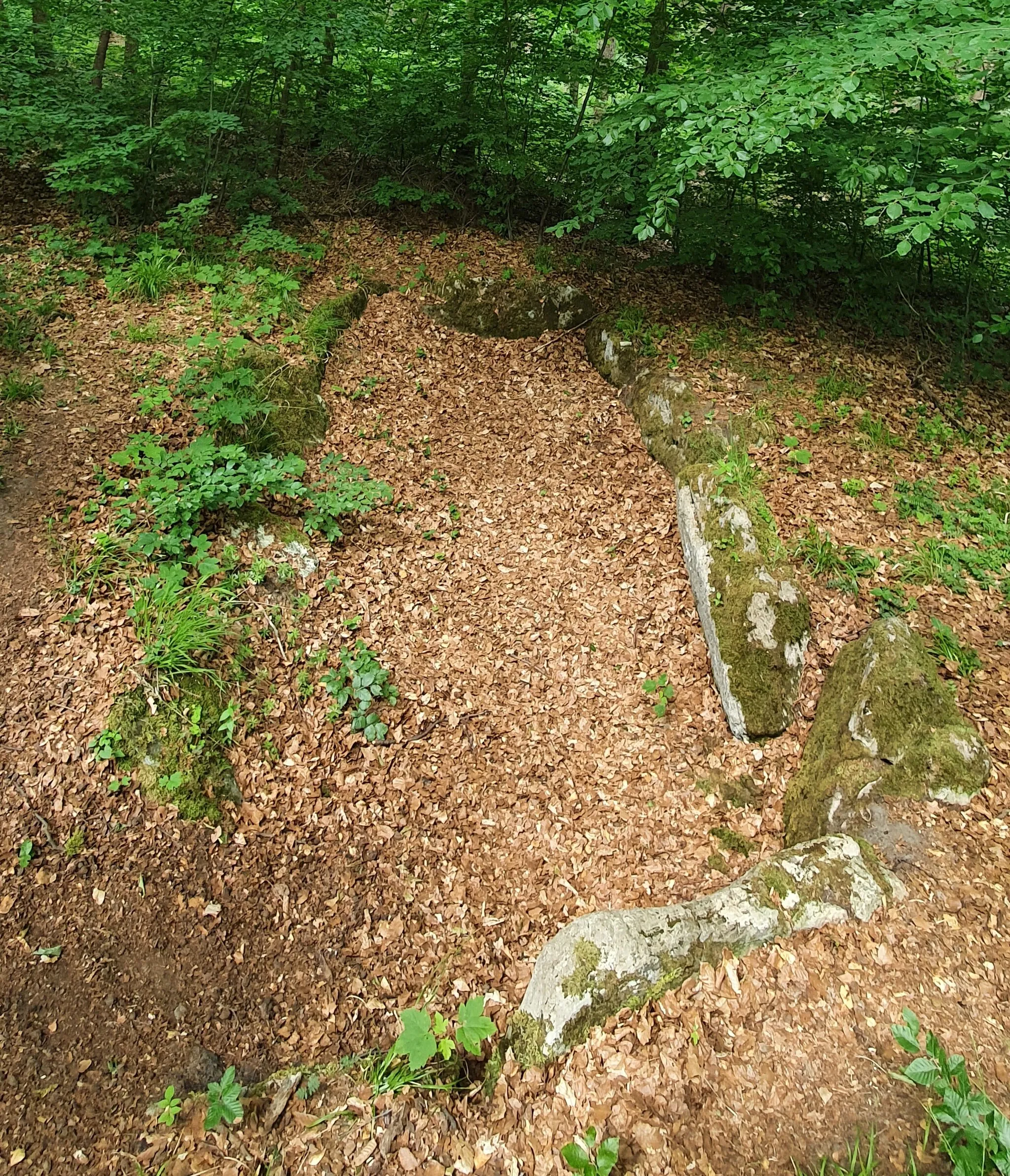 Photo showing: Stone chamber in Adamshai (Landkreis Wolfenbüttel, Lower Saxony)