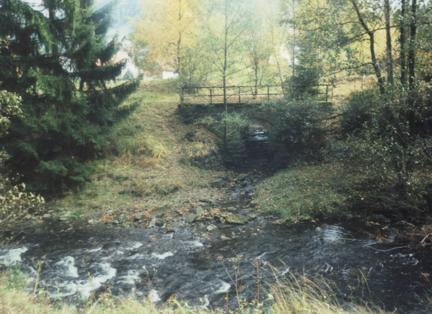 Photo showing: Former railway bridge over River Laute with River Innerste in the foreground, Lautenthal, Harz Mountains, Lower Saxony, Germany