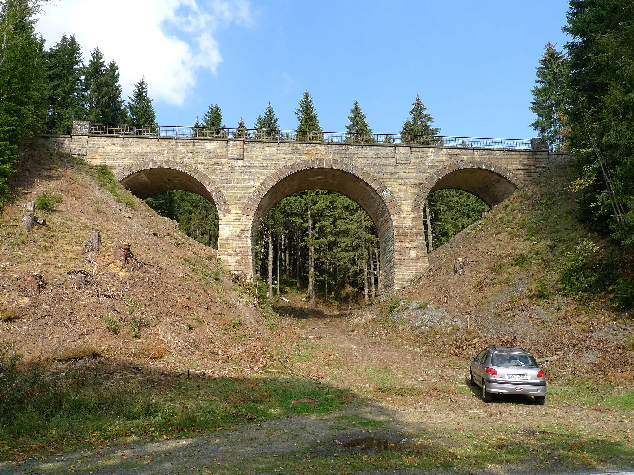 Photo showing: Viadukt der Innerstetalbahn zwischen Clausthal und Altenau