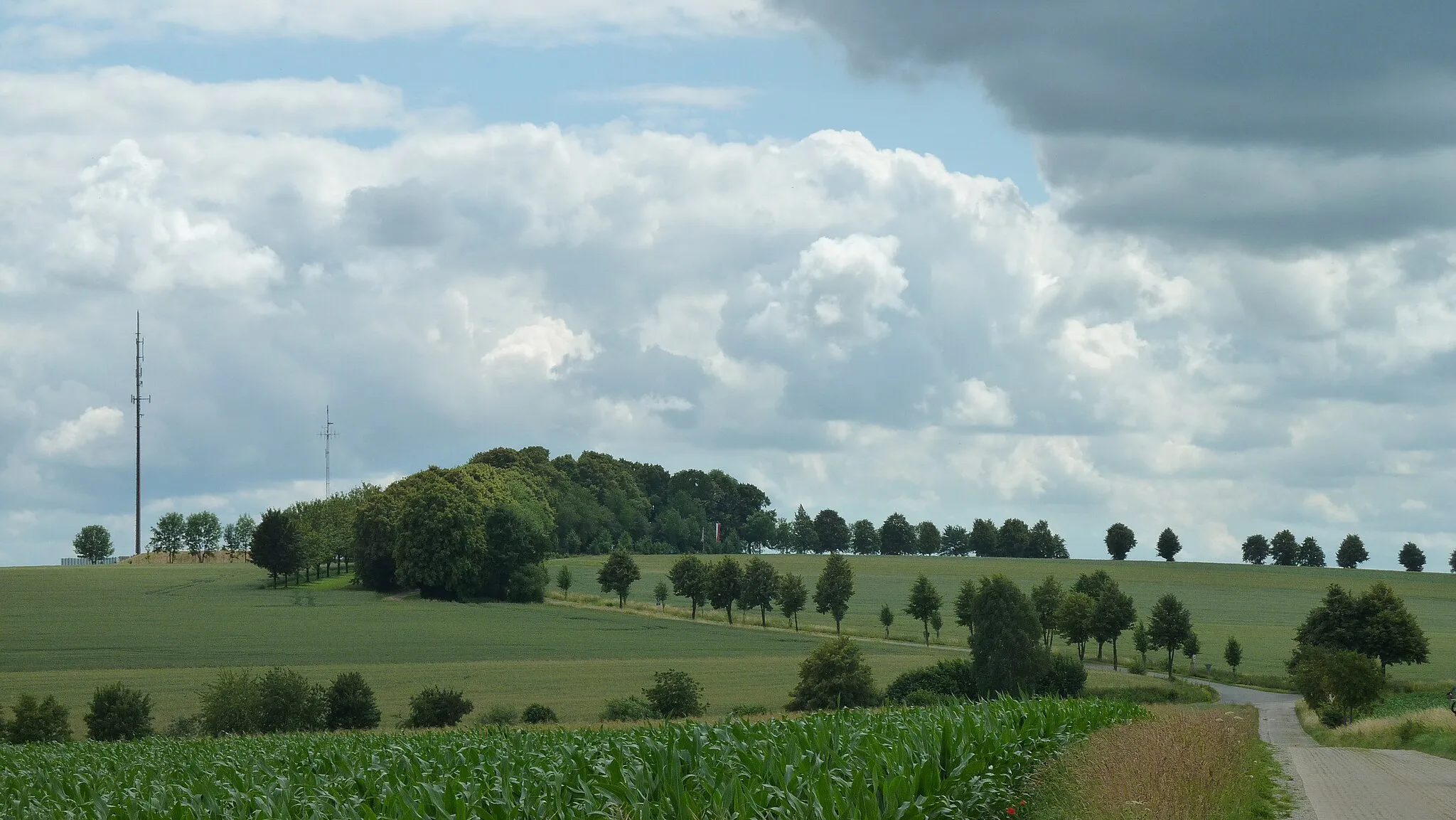 Photo showing: Blick von Norden auf den Höherberg