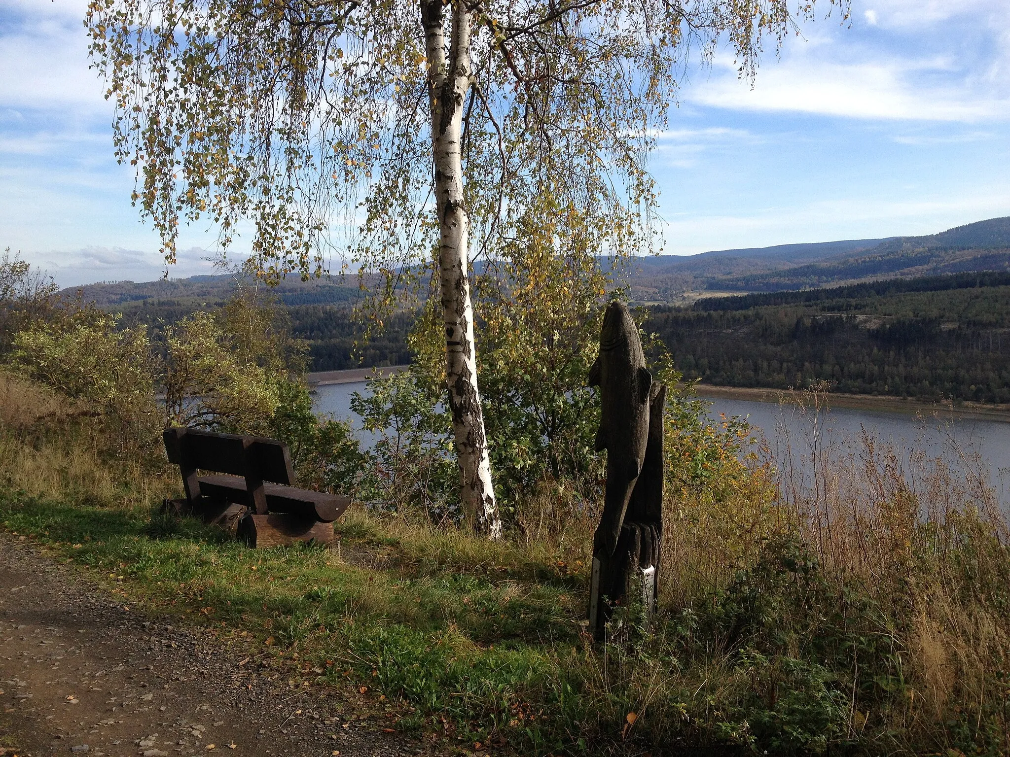 Photo showing: Über dem Innerstestausee