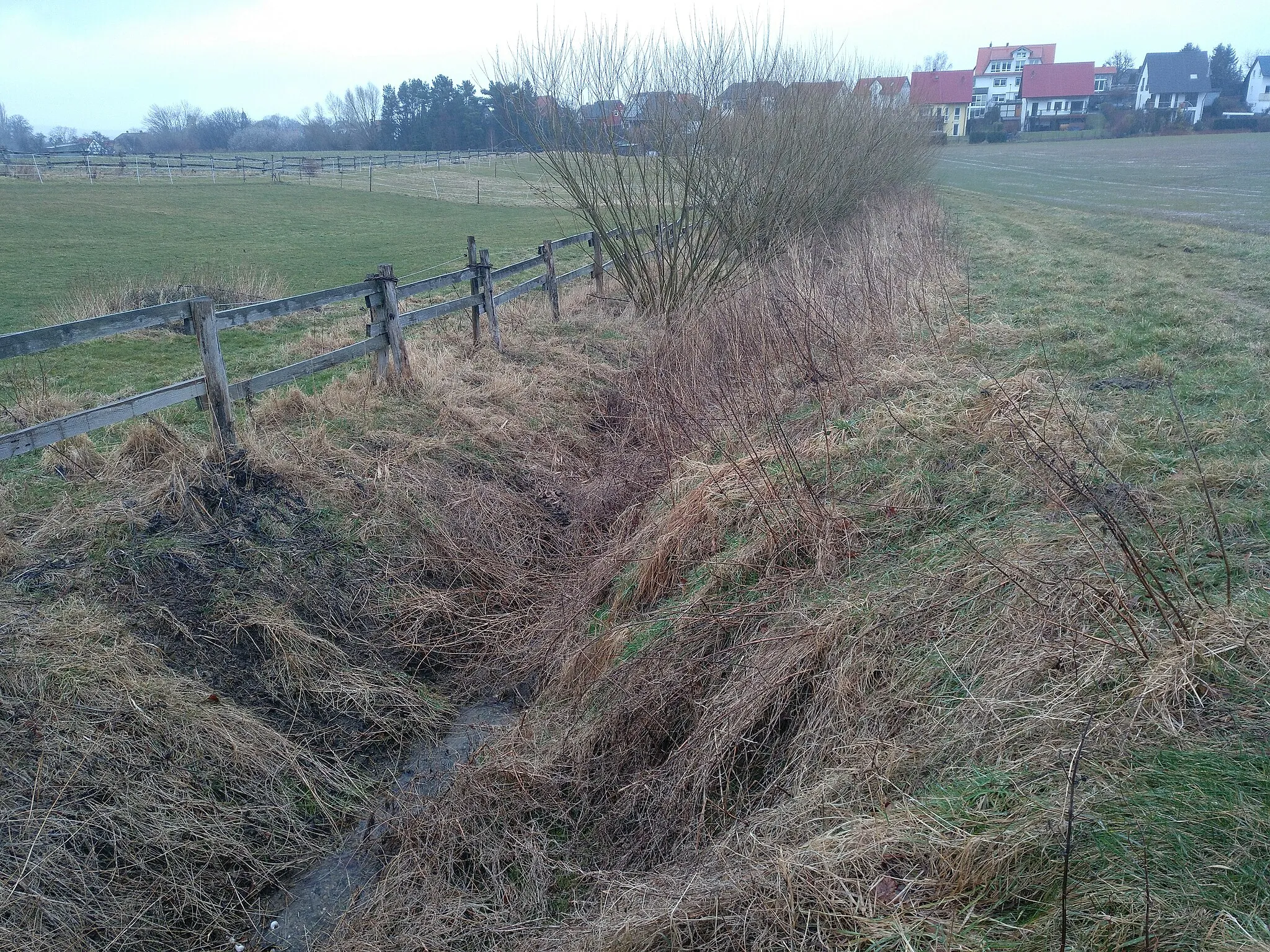 Photo showing: Verbuschung des Schamlah-Flussbetts südlich von Westerode