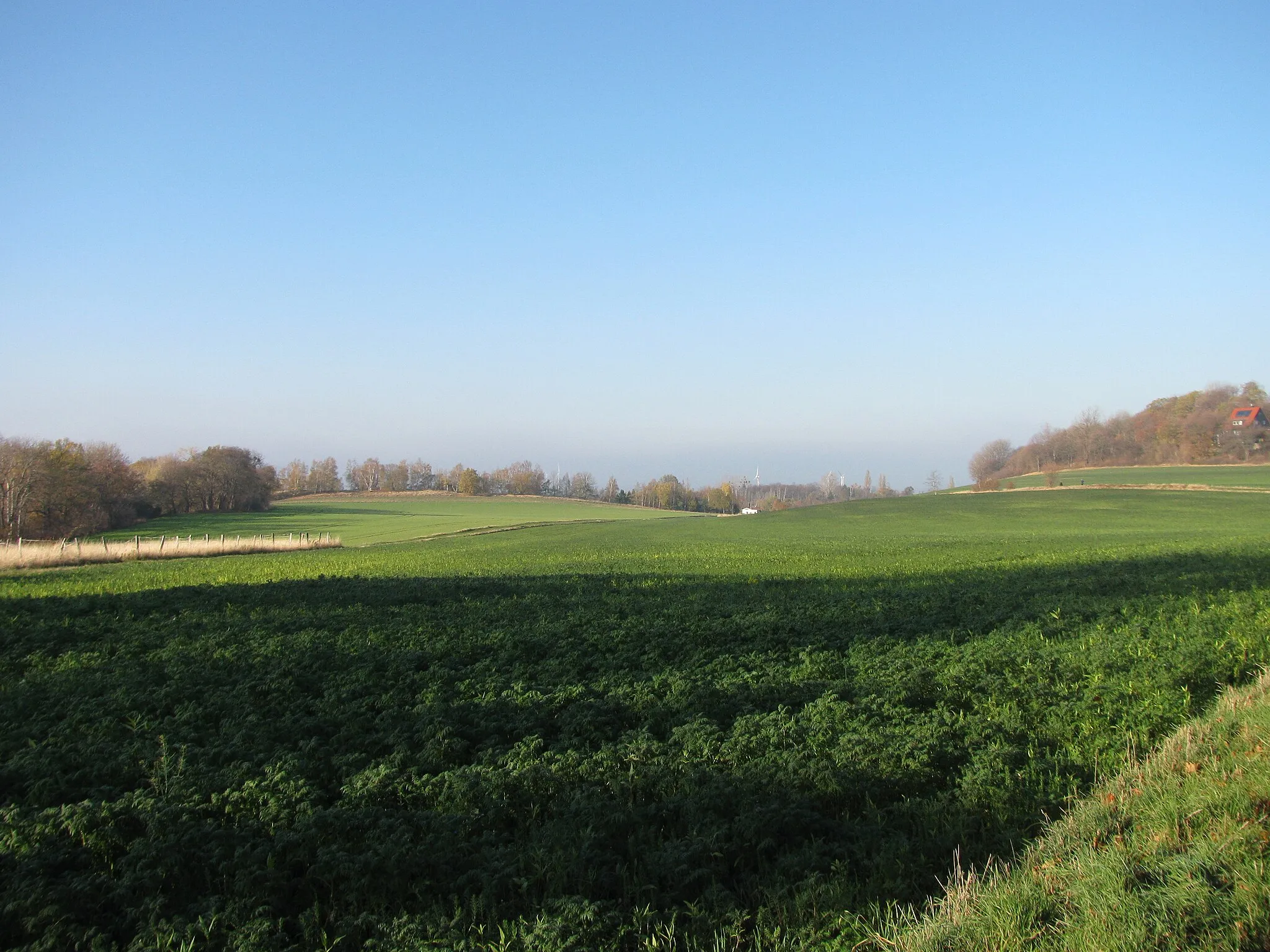 Photo showing: die Flur Vor dem Horne bei Bad Harzburg, hinter den Bäumen links und hinten verläuft das Tal der Radau