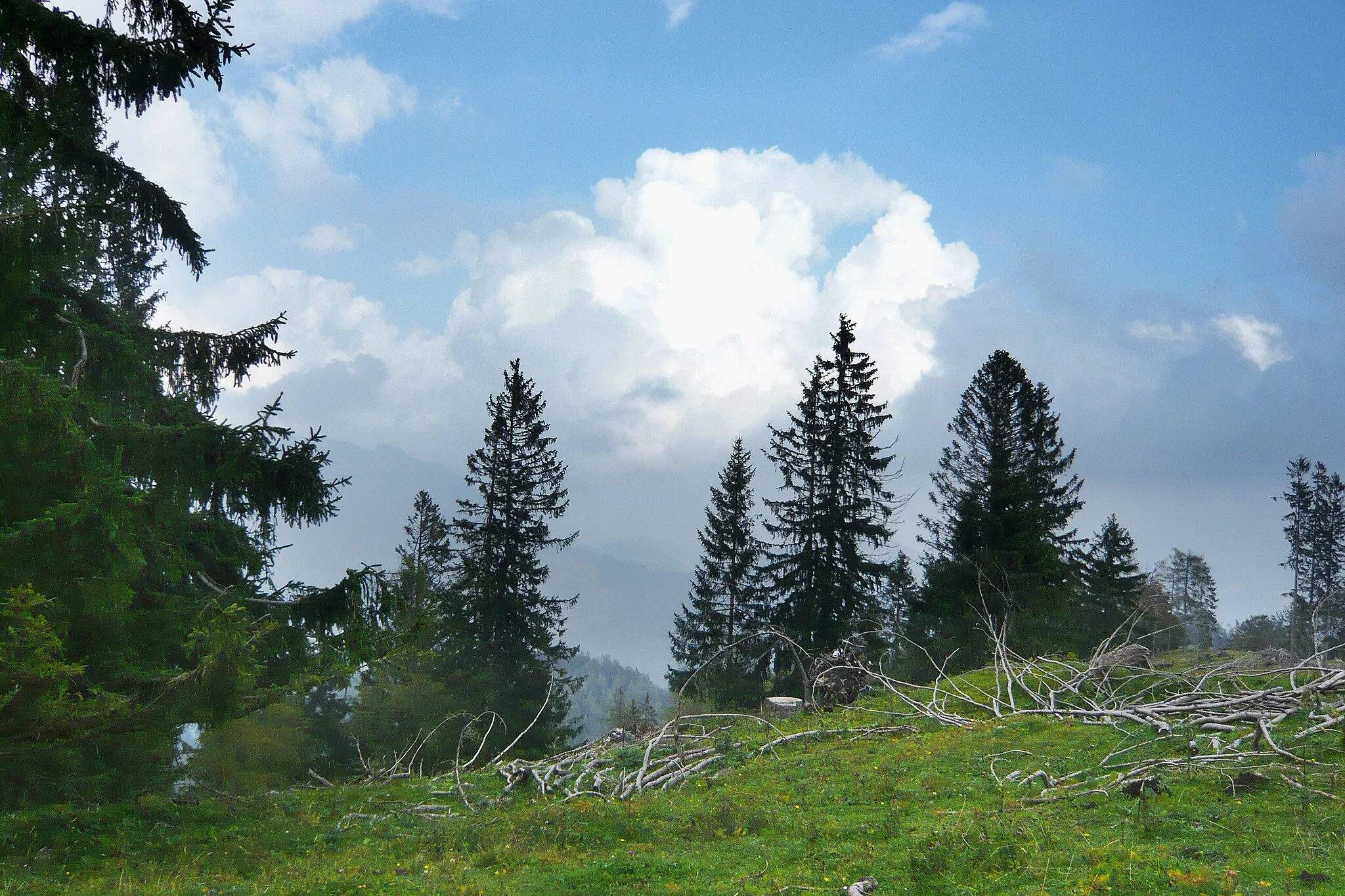 Photo showing: View from the peak of the mountain Toter Mann in southern Bavaria, Germany