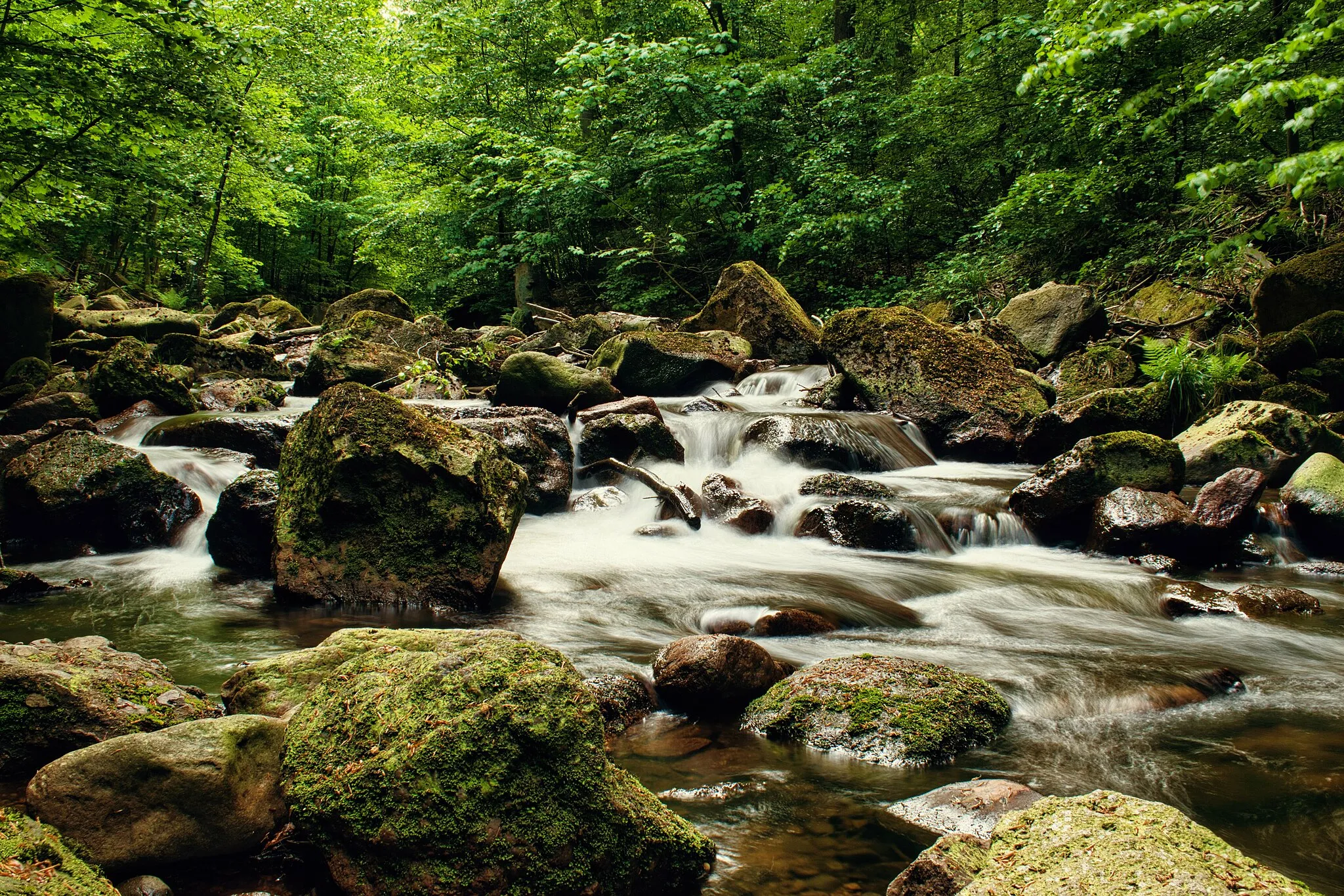 Photo showing: Harz National Park - Ilse Falls (stream) in the Ilse Valley near Ilsenburg on the Heinrich Heine Trail to the Brocken