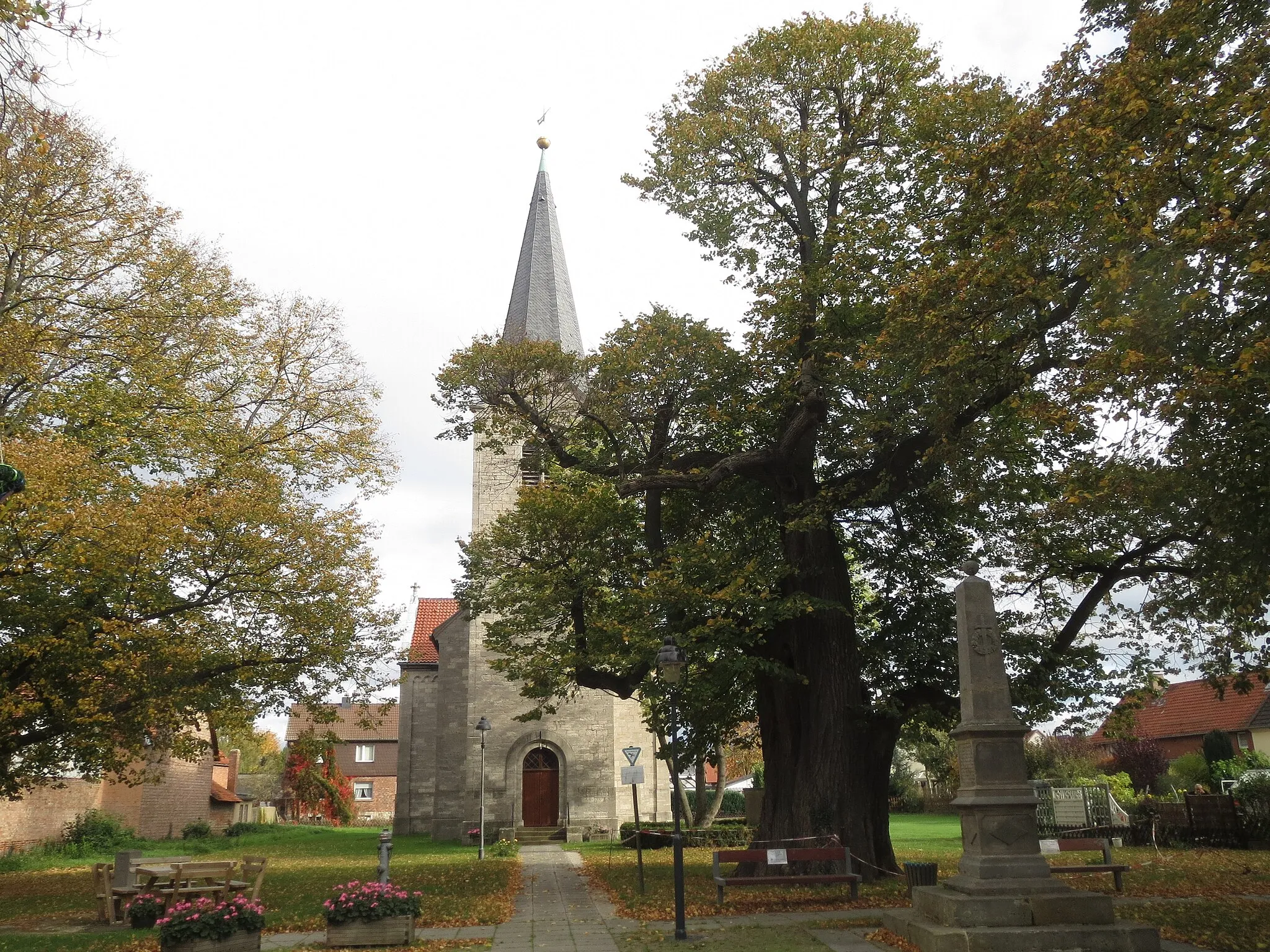 Photo showing: Bugenhagen-Linde in Lauingen, Stadt Königslutter, Naturdenkmal ND HE 00006 des Landkreises Helmstedt
Die Sommer-Linde steht west-südwestlich des Kircheneingangs, hat einen Stammumfang von 6,70 m und soll vor etwa 500 jahren von dem Prediger Johannes Bugenhagen gepflanzt worden sein ([1]). Das Ortswappen von Lauingen zeigt zwei Blätter und einen Spross, die für die Bugenhagen-Linde stehen.