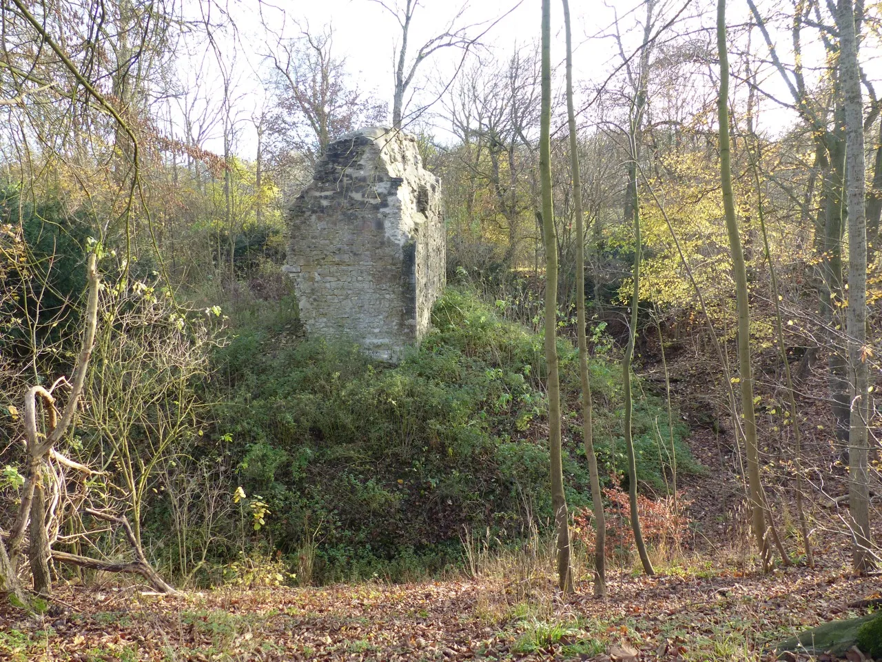 Photo showing: Ruin of castle Langeleben