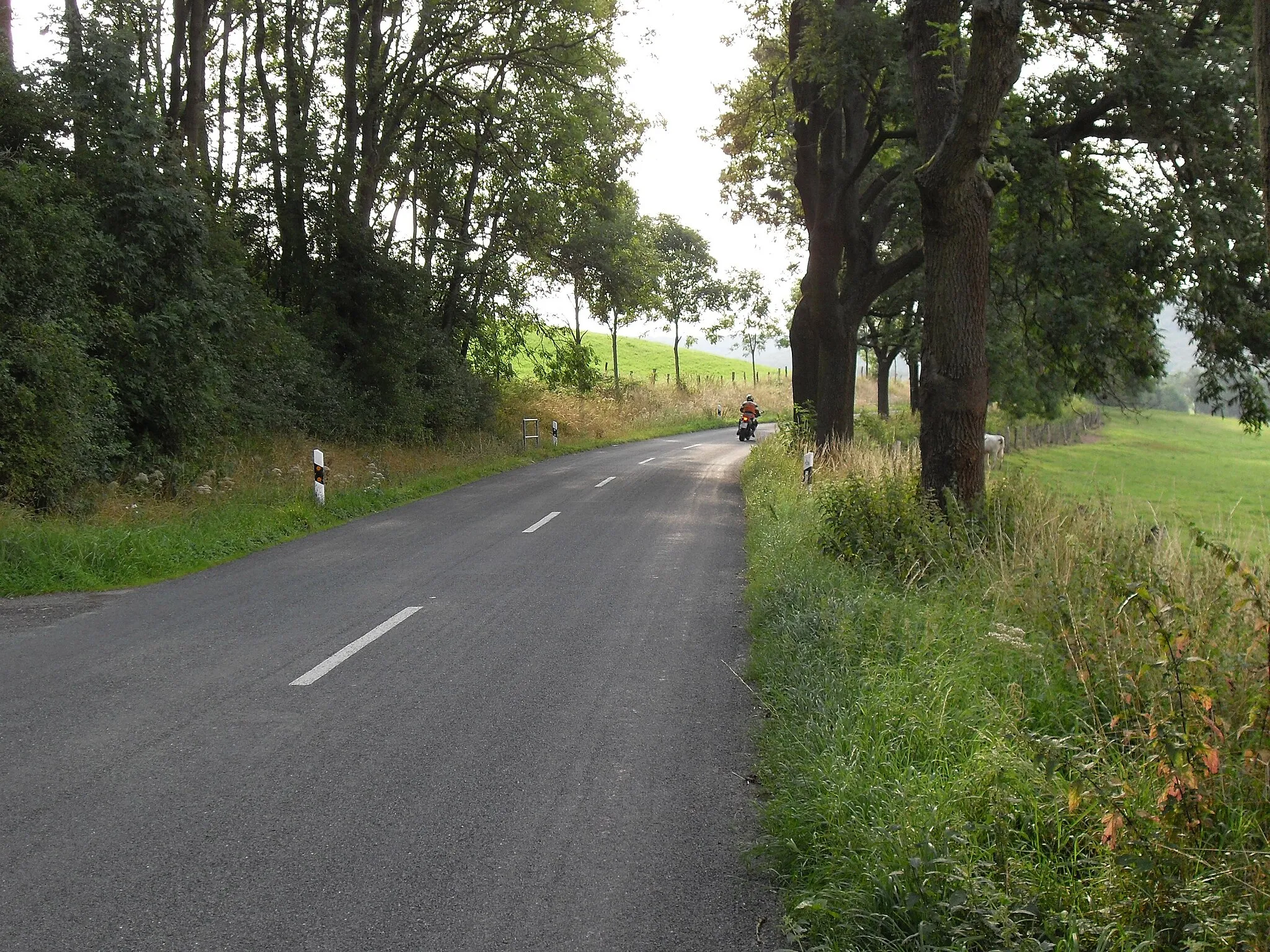 Photo showing: motorbike rider in Reitlingstal in the Elm range, Lower Saxony, Germany