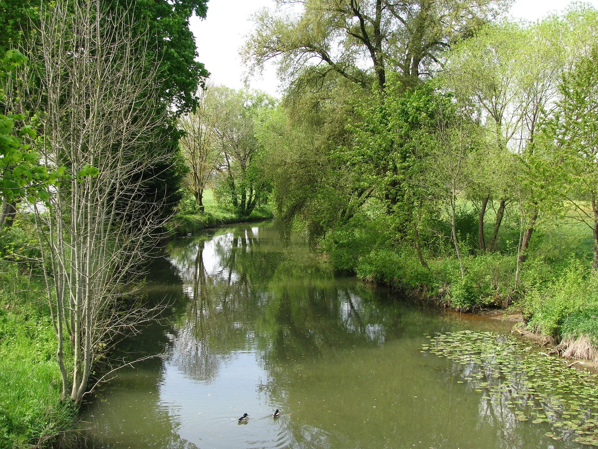 Photo showing: Die Rott in Massing, flussaufwärts.