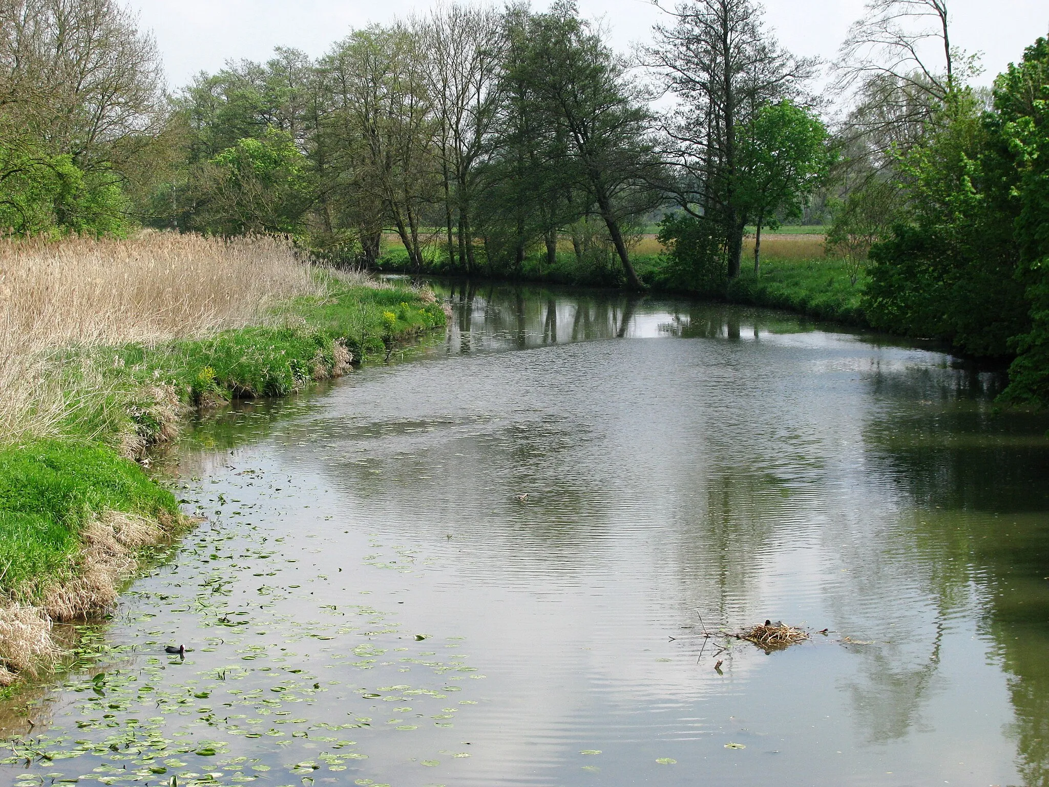 Photo showing: Die Rott in Massing, flussabwärts.