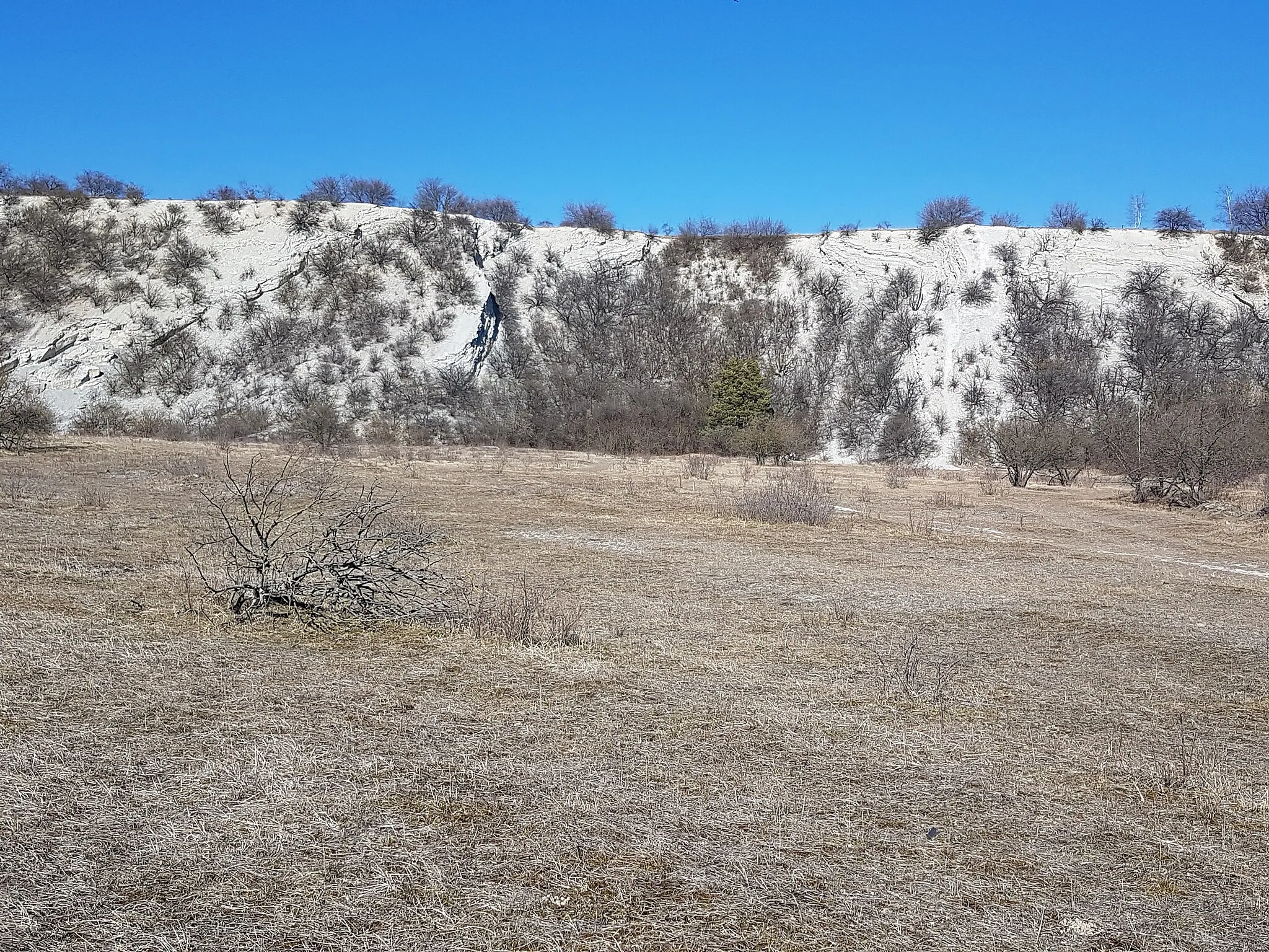 Photo showing: Kalkstein im Steinbruch