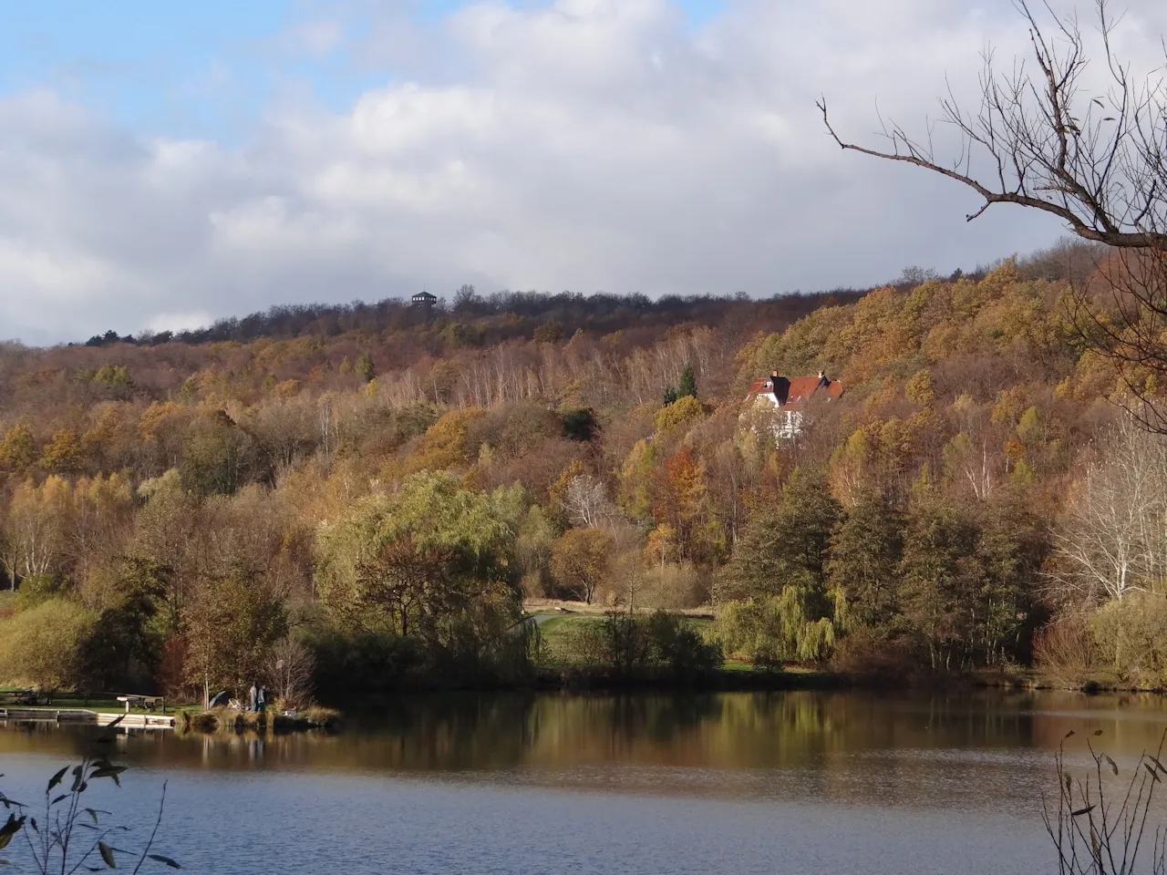 Photo showing: Herbstlicher Harly-Wald mit Vienenburger See, zu sehen ist der Harly-Turm und ein Wohngebäude am ehemaligen Schacht II