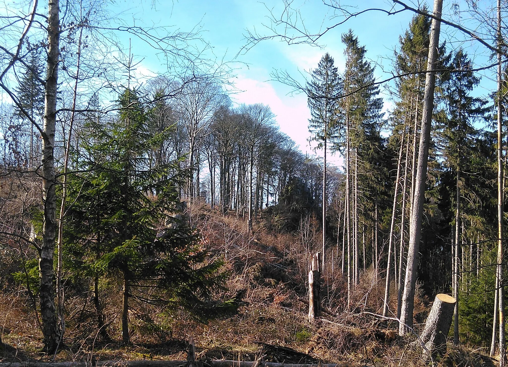 Photo showing: Der Elfenstein vom Harzburger Fenster gesehen.