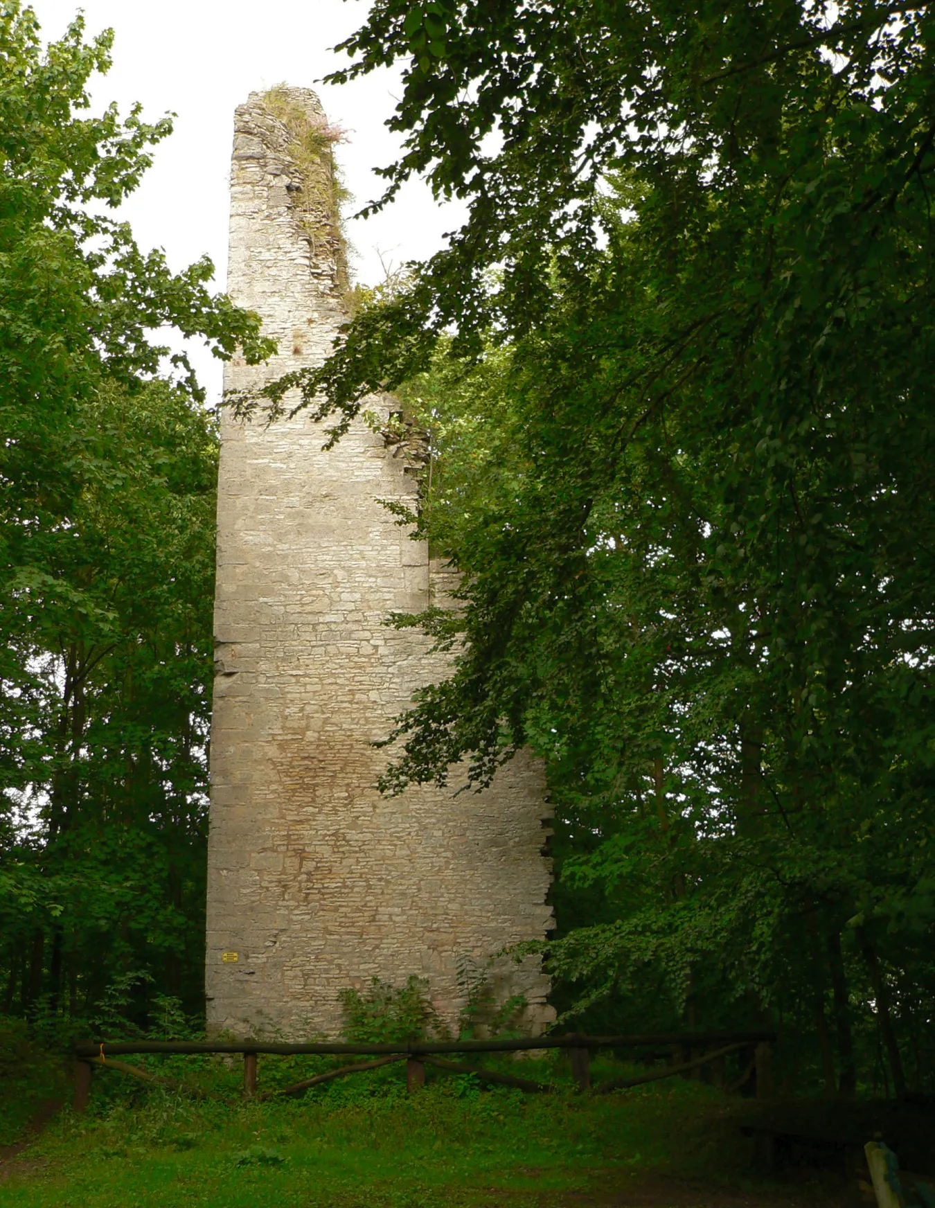 Photo showing: Bergfried Burg Wohlenstein